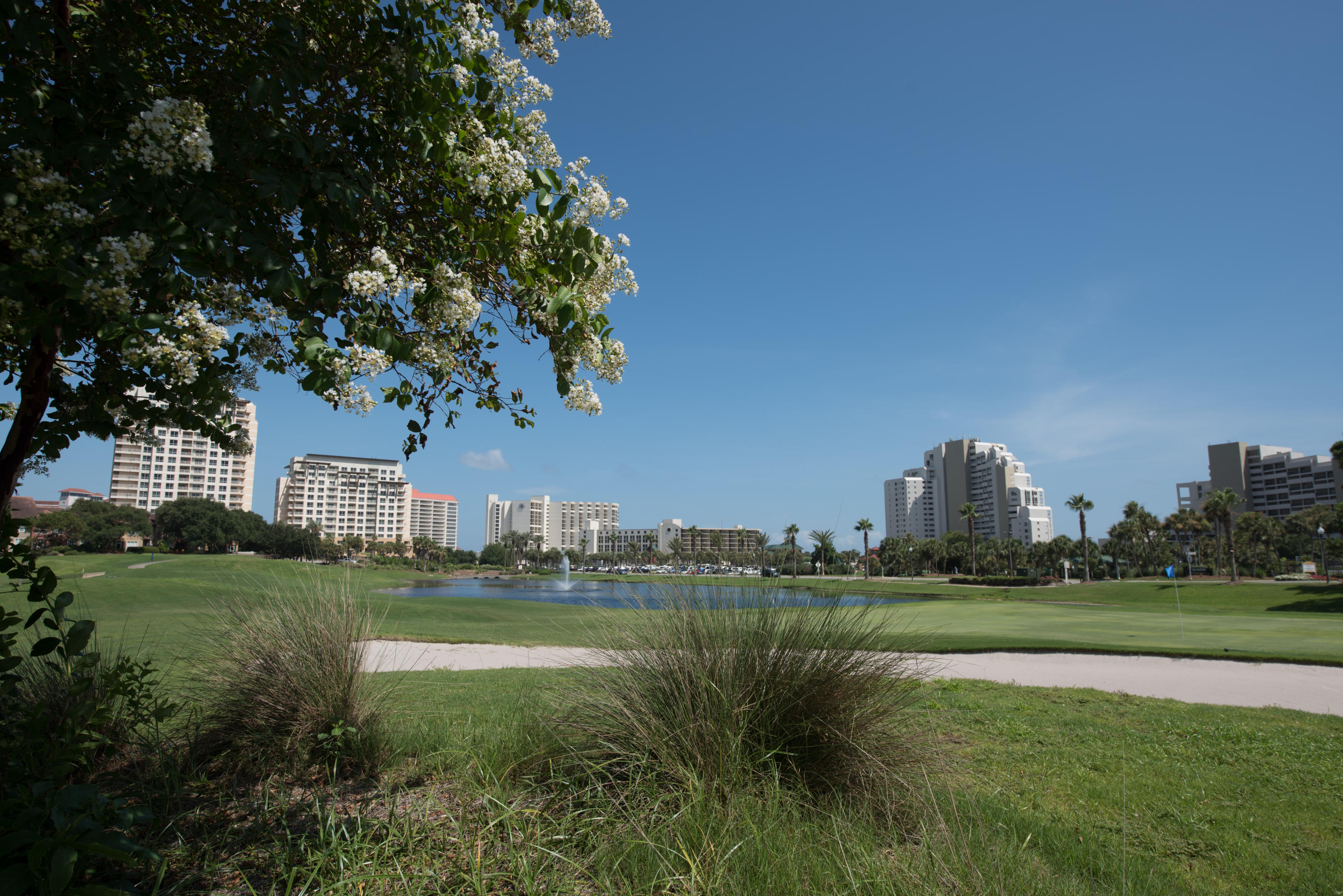 OBSERVATION POINT - Residential