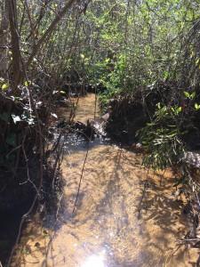 Ridgecrest Estates - Residential