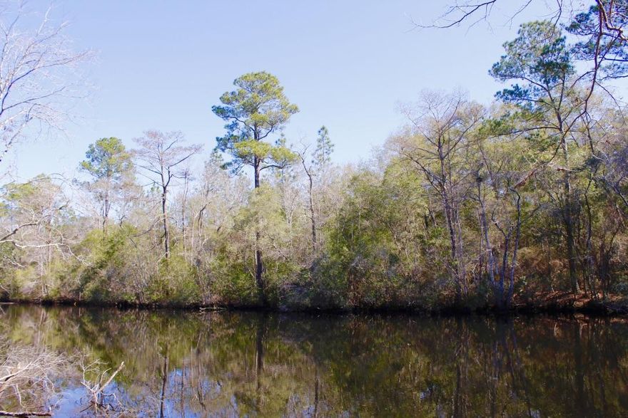 One of the finest waterfront parcels to come on the market in a long time. 800 feet of waterfront on Scenic Camp Creek that flows directly in to Black Creek and ultimately the bay. Big trees and plenty of high ground to build your custom dream home or that Old Florida Florida fish camp.
