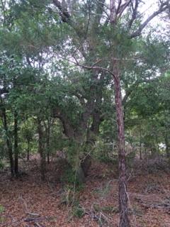 East Bay River Estates - Land