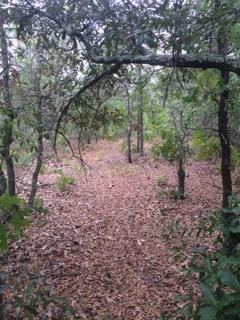 East Bay River Estates - Land