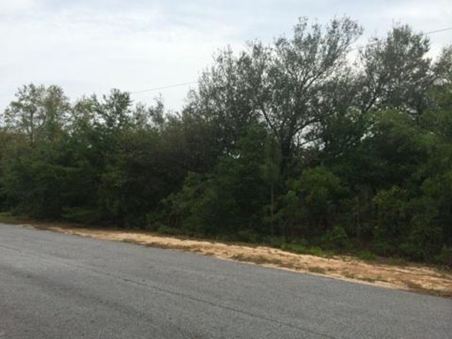 Beautiful high and dry lot in Navarre's East Bay River Estates. Build your dream home and room for a pool and a big garden! Easy access to beaches, interstate, shopping and Hurlburt Fld AFB is about 25 minutes away. Only a couple miles to the boat ramp at East River.