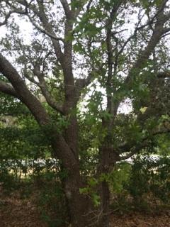 East Bay River Estates - Land