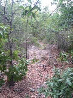 East Bay River Estates - Land