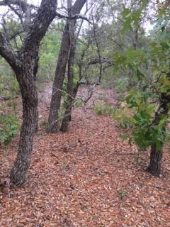 East Bay River Estates - Land