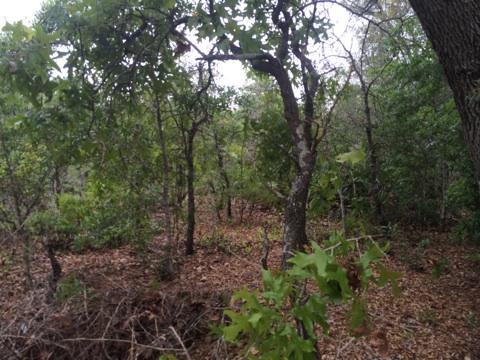 East Bay River Estates - Land