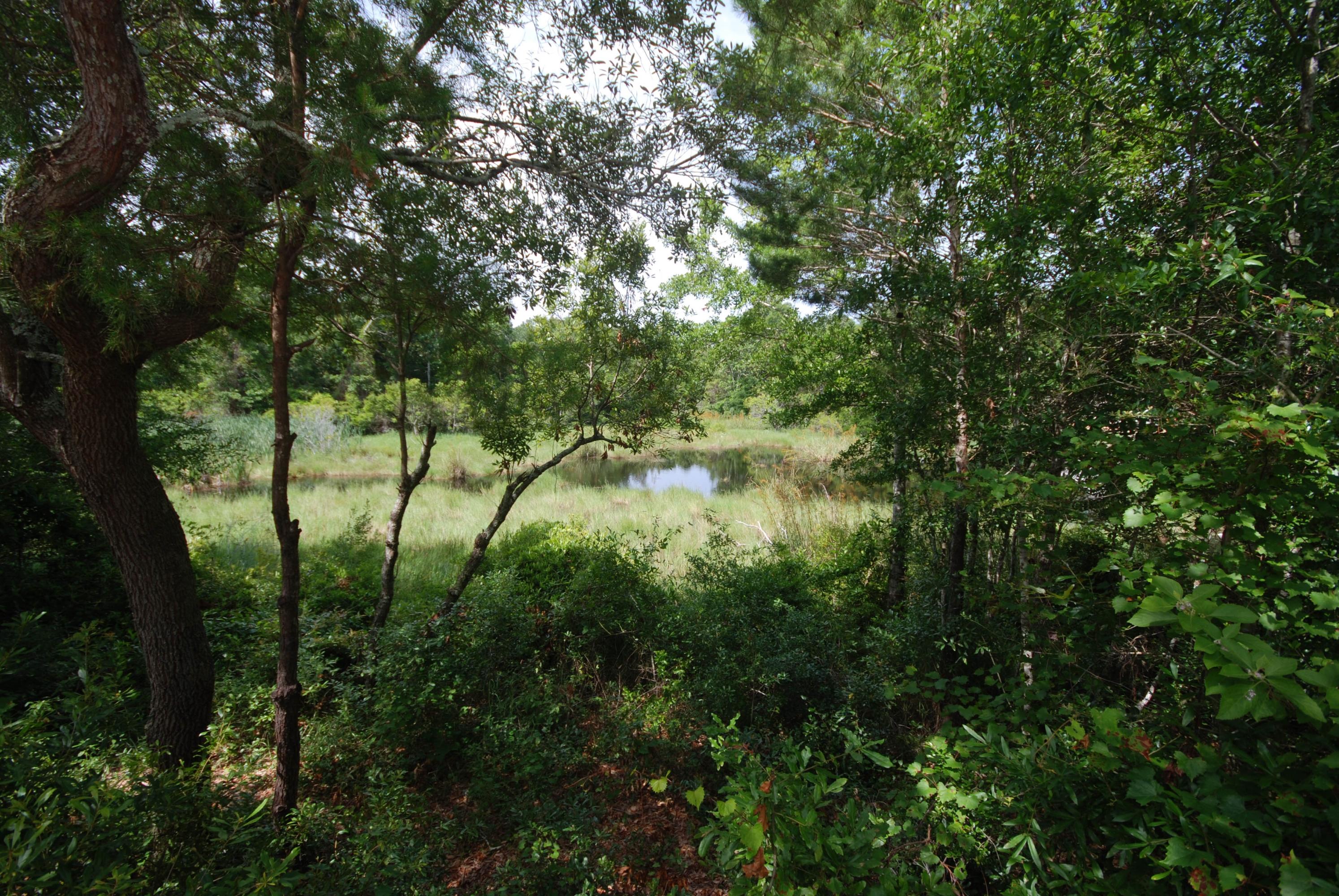 BEAVER POND ESTATES - Residential