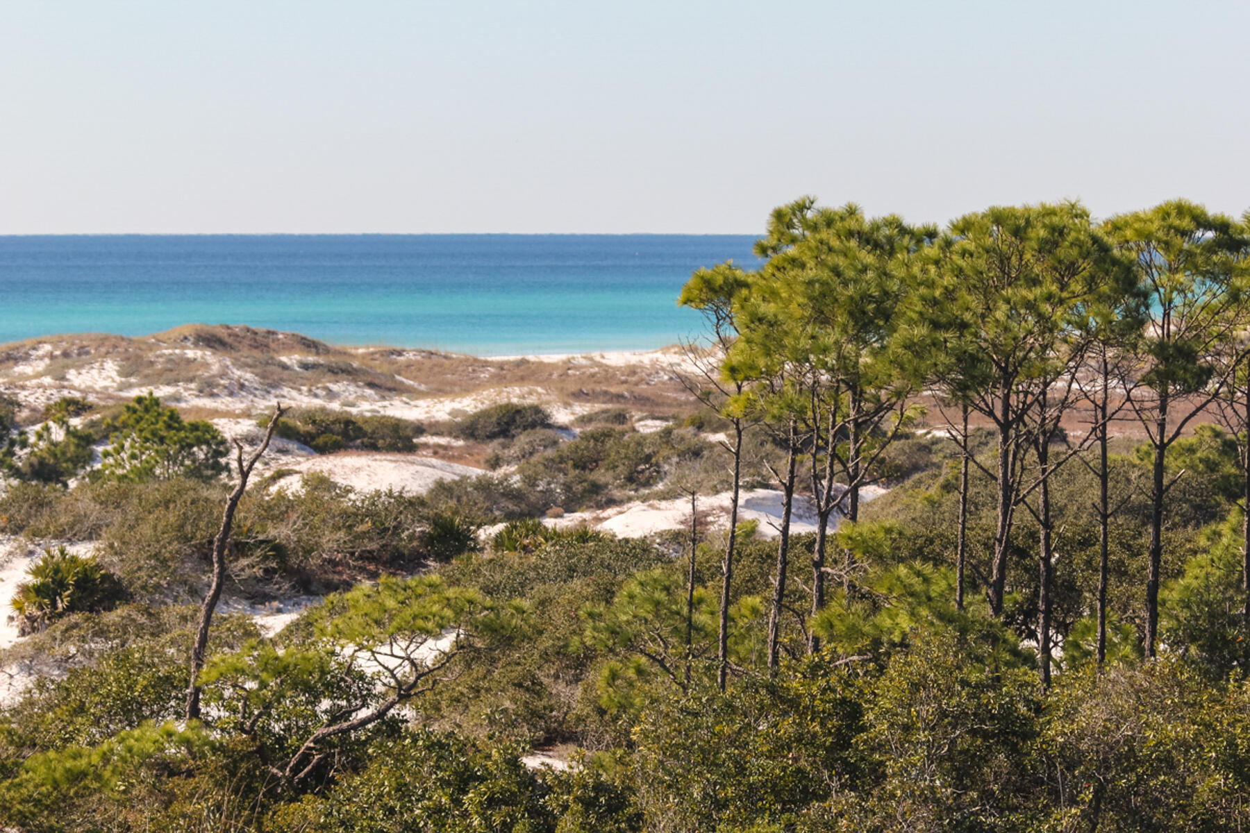 WATERSOUND BEACH - Land