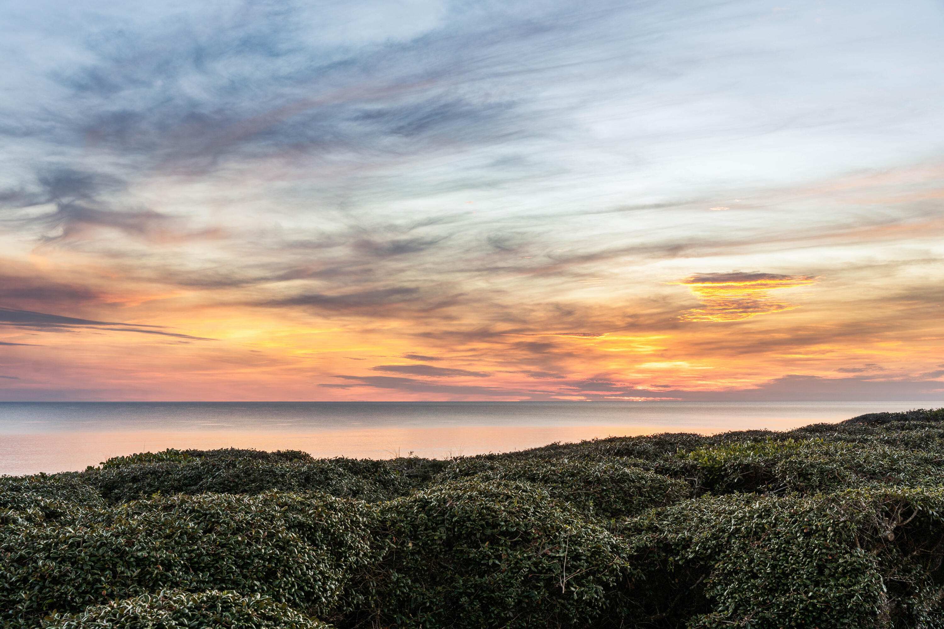 Watercolor - Residential