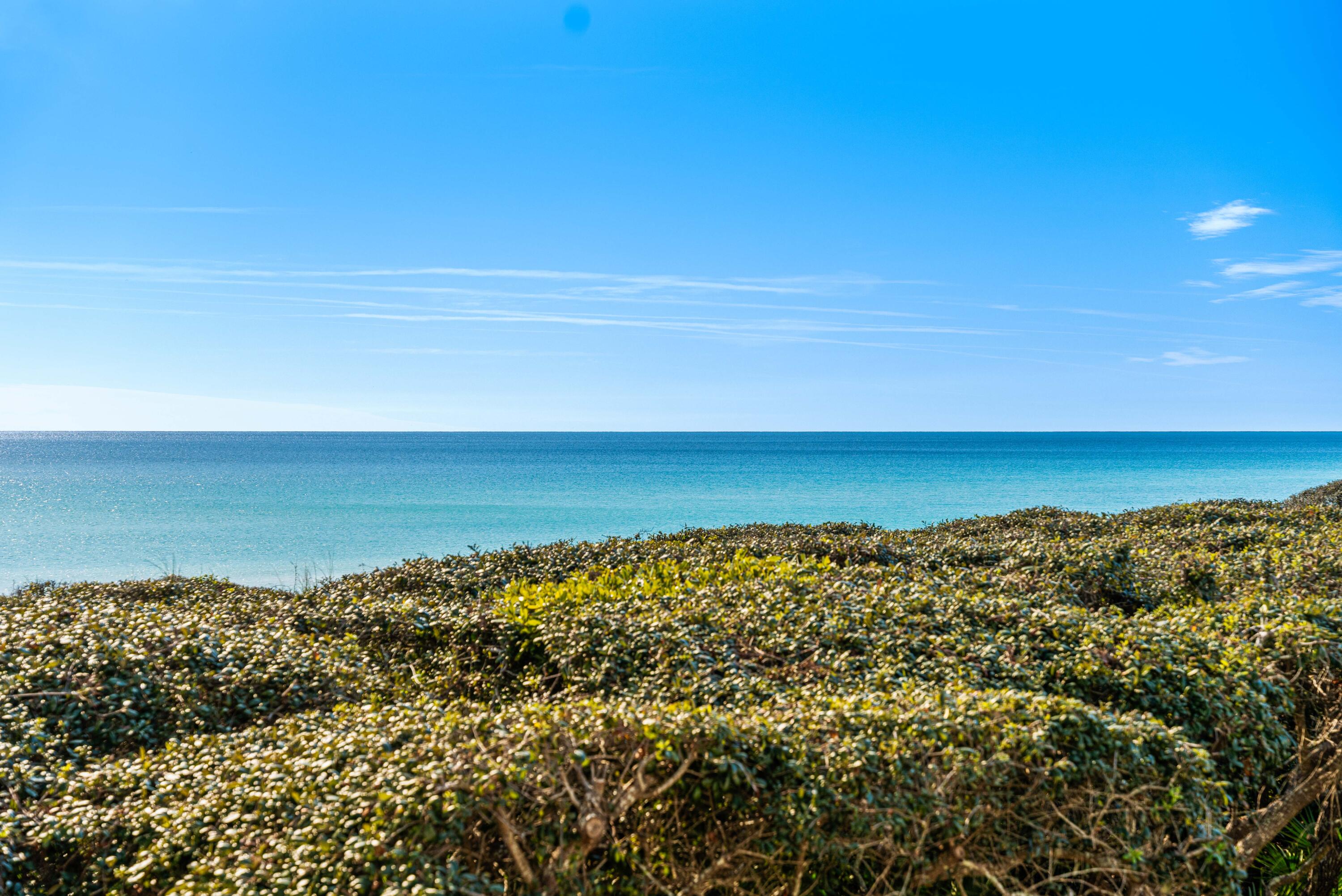 Watercolor - Residential