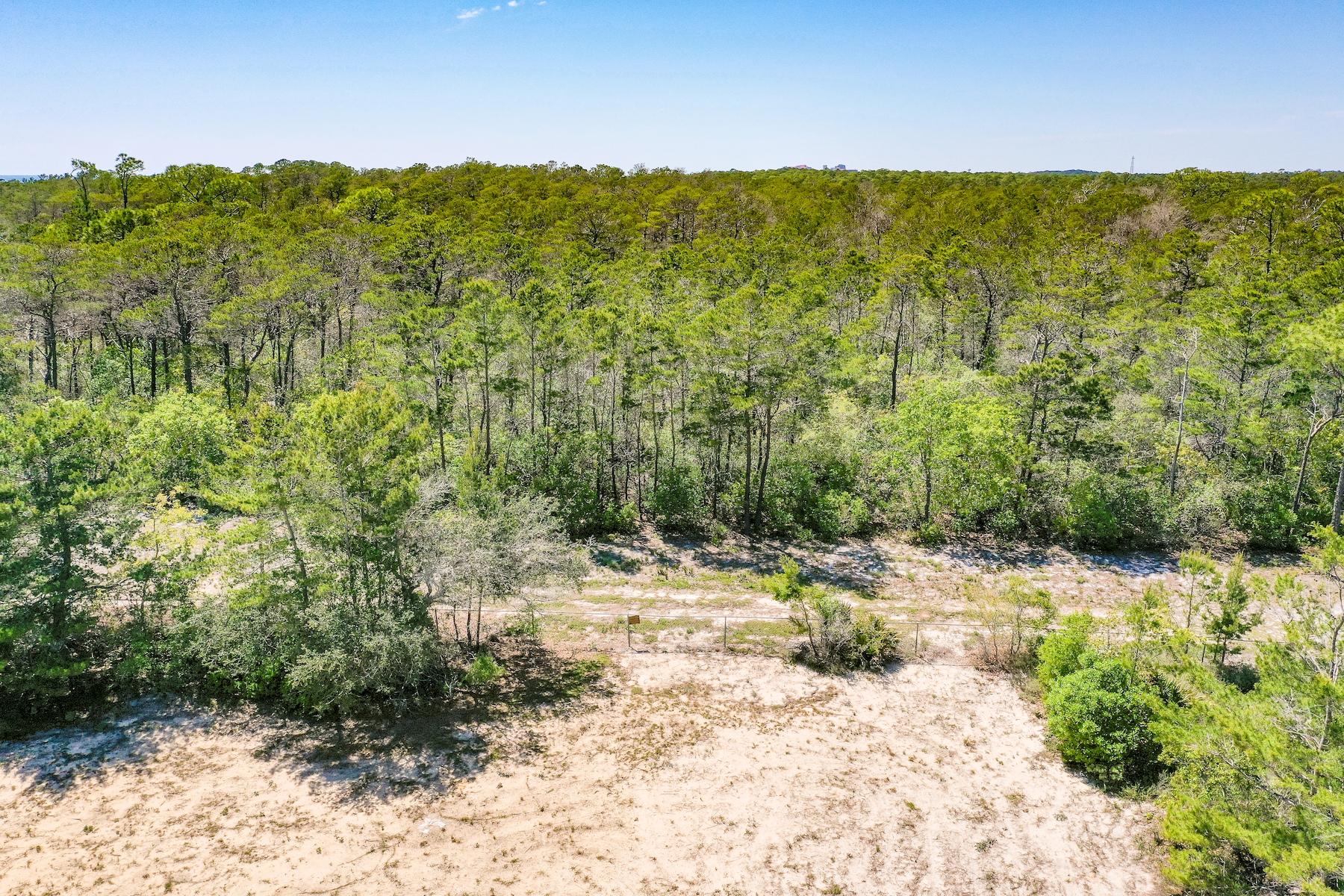 Cypress Dunes - Land