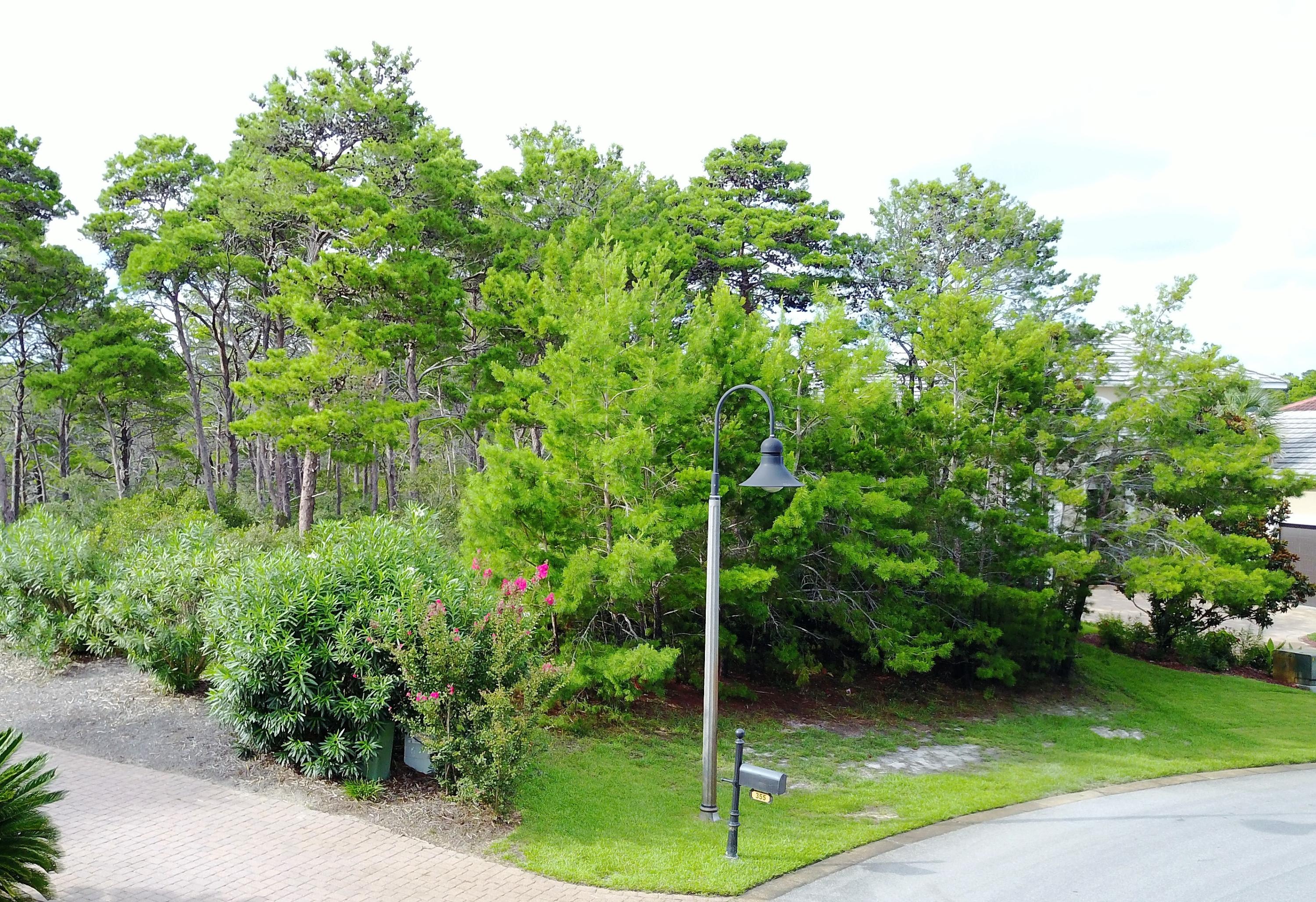 GULF PLACE AT SANTA ROSA BEACH PH 3 - Land