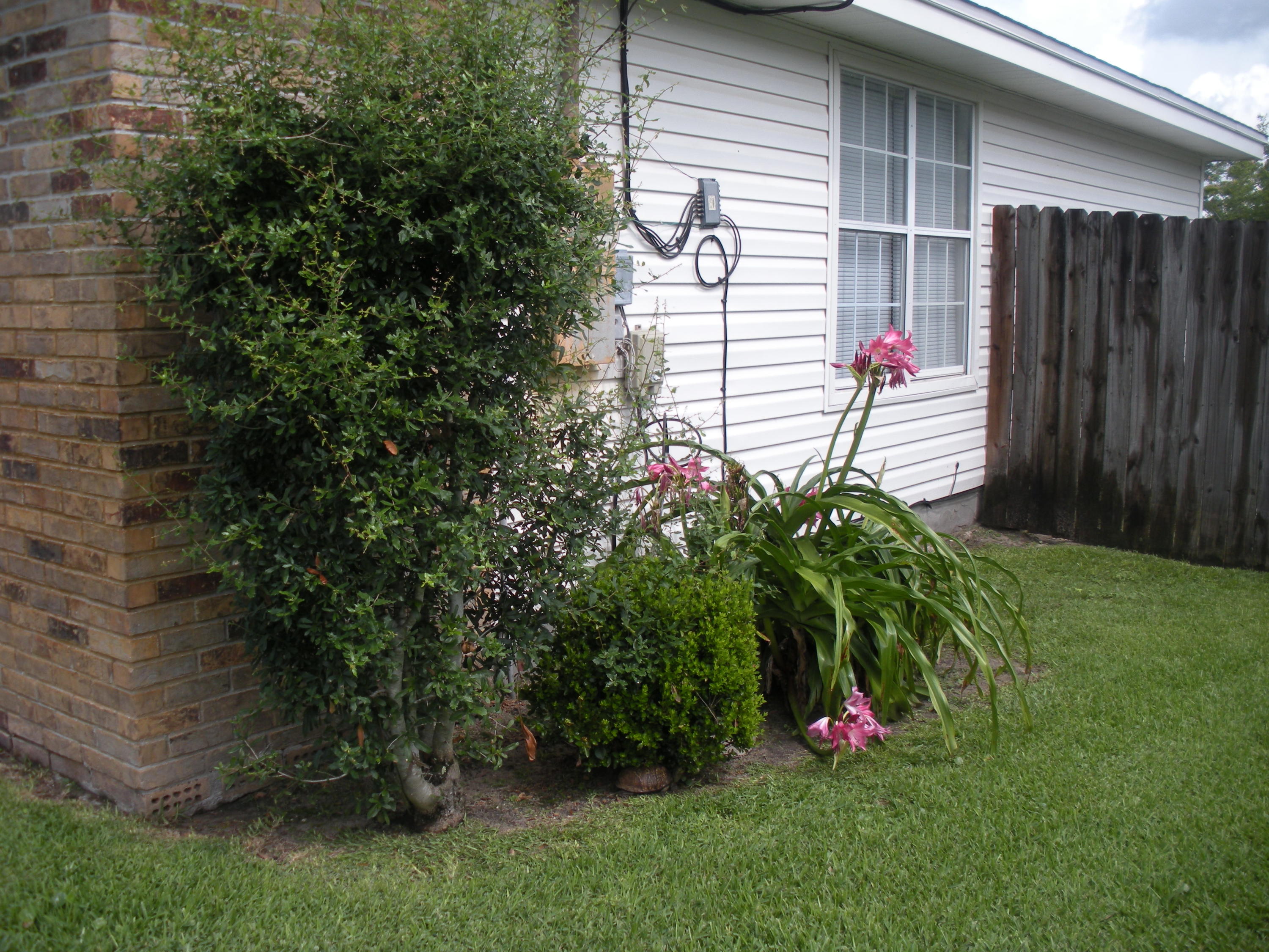 BRITTANY WOODS S/D - Residential