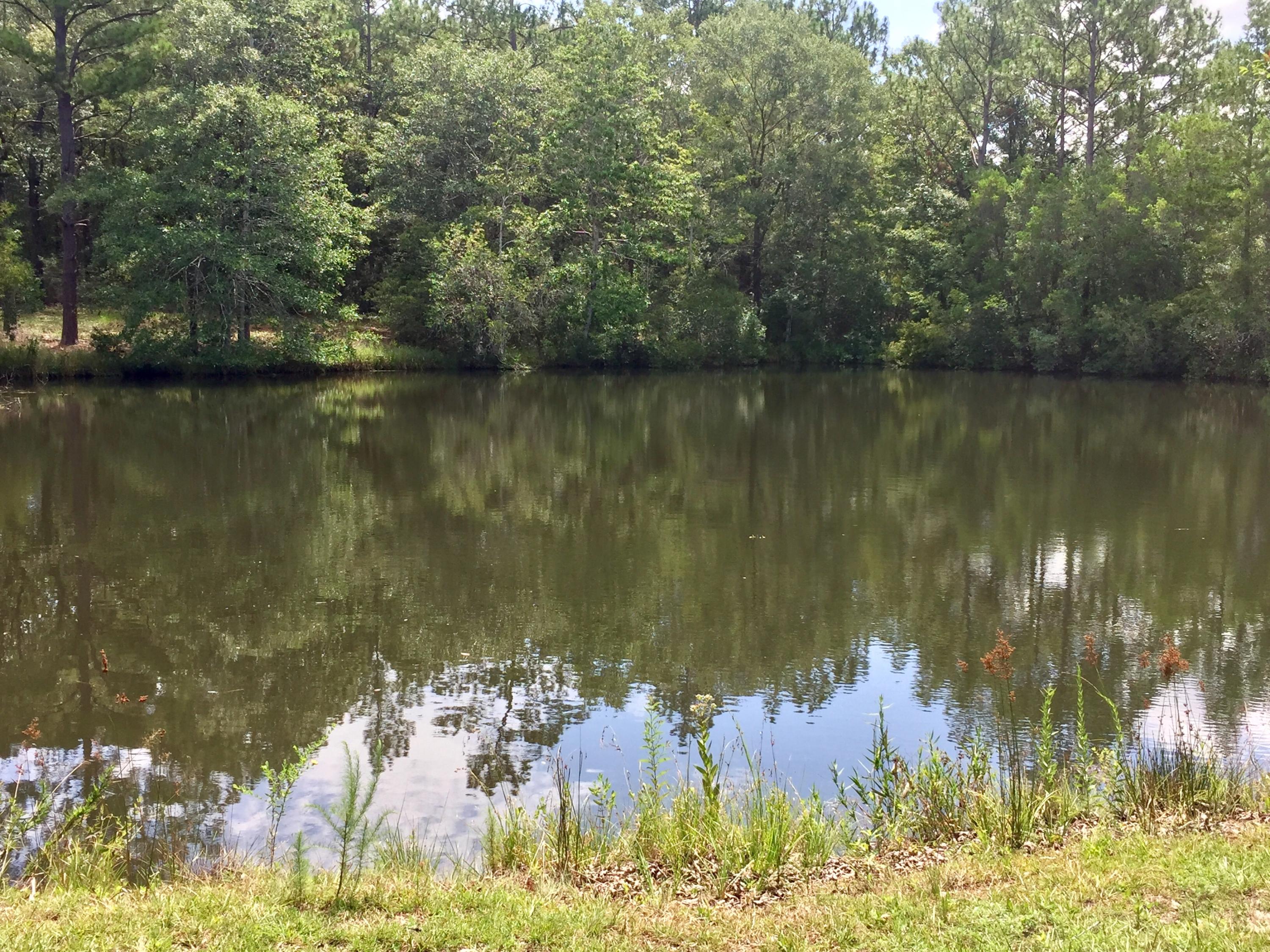 KENNEDY LAKES NORTH - Residential