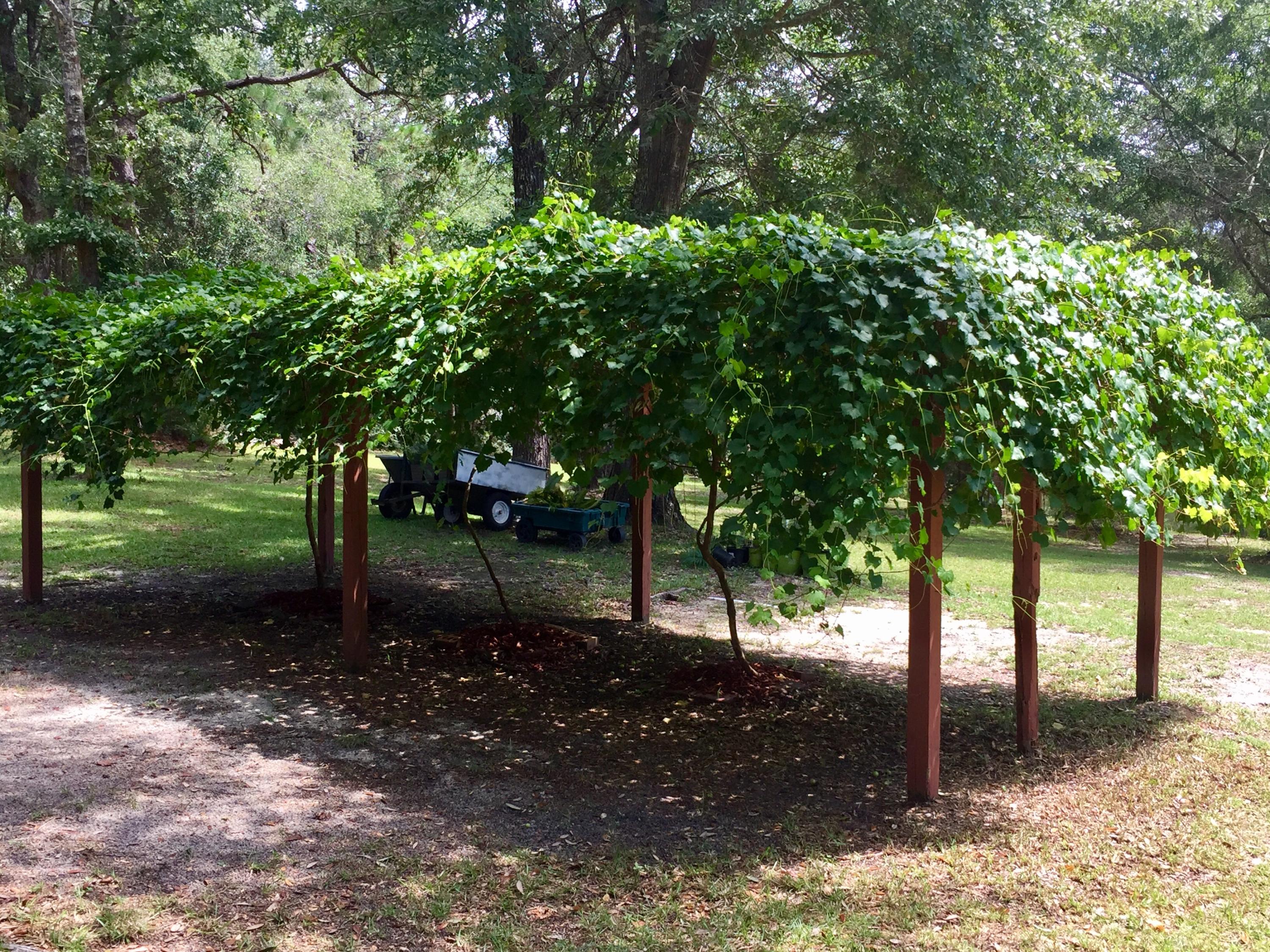 KENNEDY LAKES NORTH - Residential