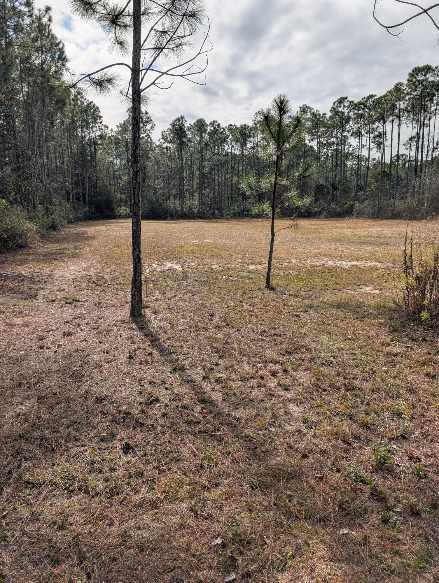 BLACKWATER BAY - Land