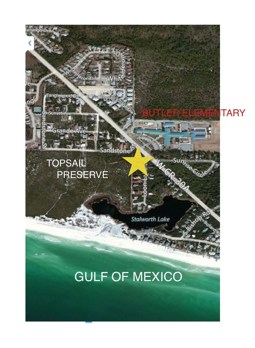 Beautiful lot backing up to Topsail Hill Preserve and only a short distance to the beach, restaurants, shopping. Perfect location for your permanent or second home. No HOA dues!!! No build-out times!!! Possible gulf and lake views from your 2nd and 3rd floors. ***Buyer is responsible for personally verifying details about this property. Any information contained in this listing is believed to be accurate but is not guaranteed.***