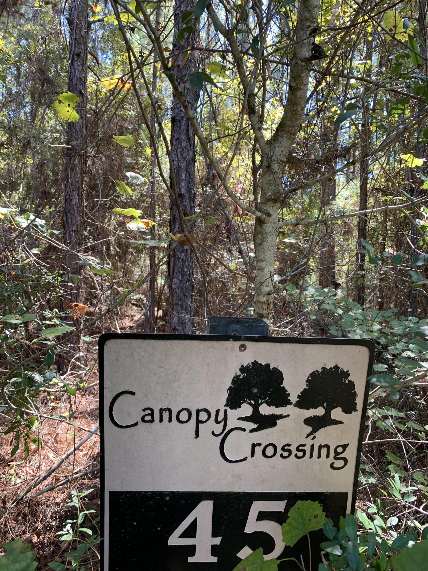Canopy Crossing - Land