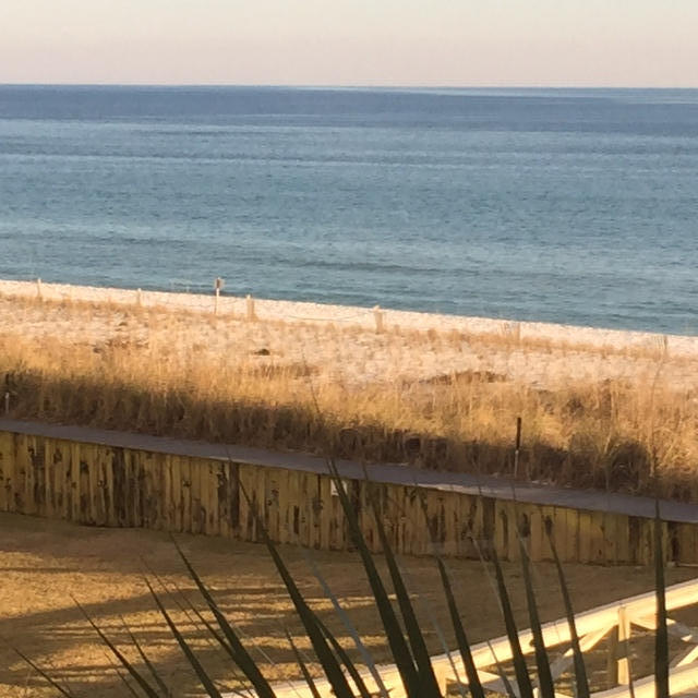 SHORELINE TOWERS 2 - Residential