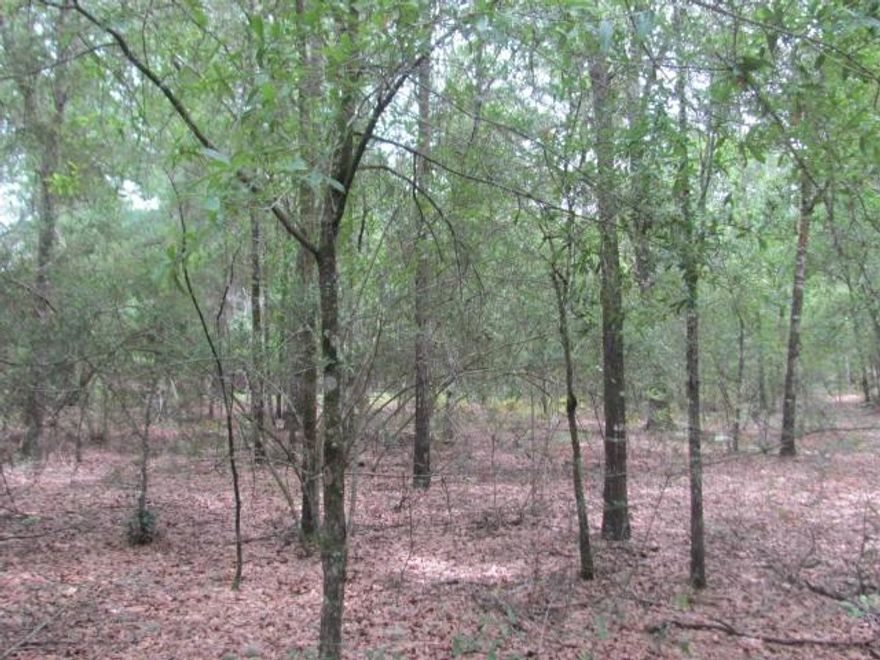 Price Reduced! Seller Financing available with 10 % down!!Beautiful 10.27 Acre Tract in a fantastic location! Only 30 minutes to Niceville and Crestview! Within 3 miles of the interstate exchange at Mossy Head! This parcel also borders the Blackstone Golf Course. There are trees and a small camp building on the property. A creek meanders through the back of the property. This is a perfect location to build a home or to use as a get away. Private and located at the end of a county maintained road, this is the place to be. Don't miss out! Call today for your tour!
