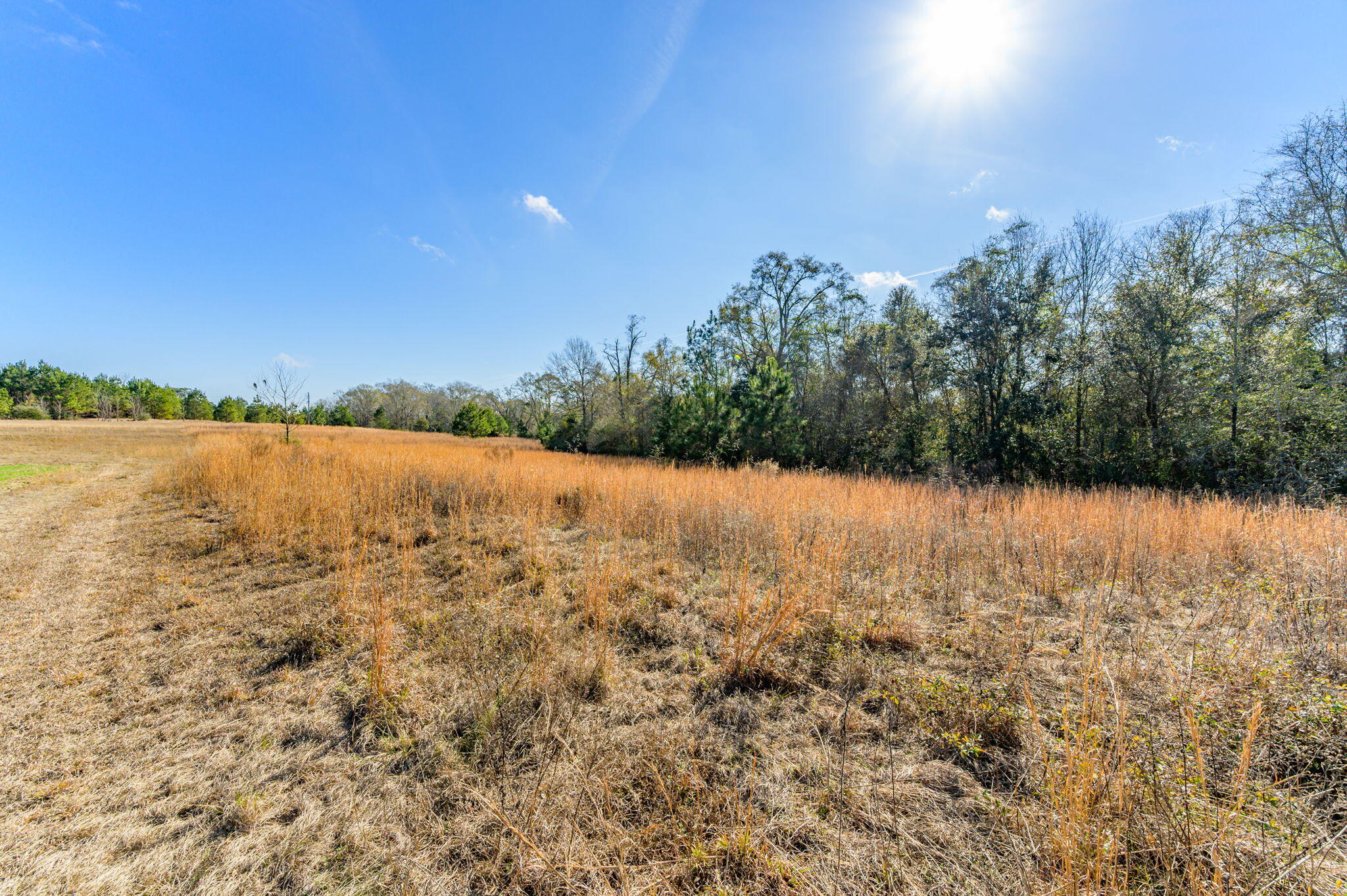 METES & BOUNDS - Farm