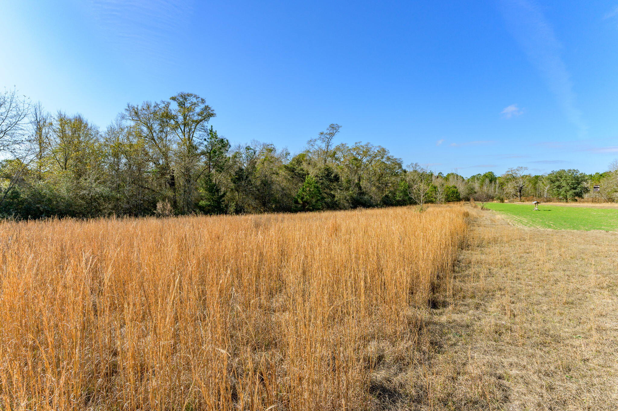 METES & BOUNDS - Farm