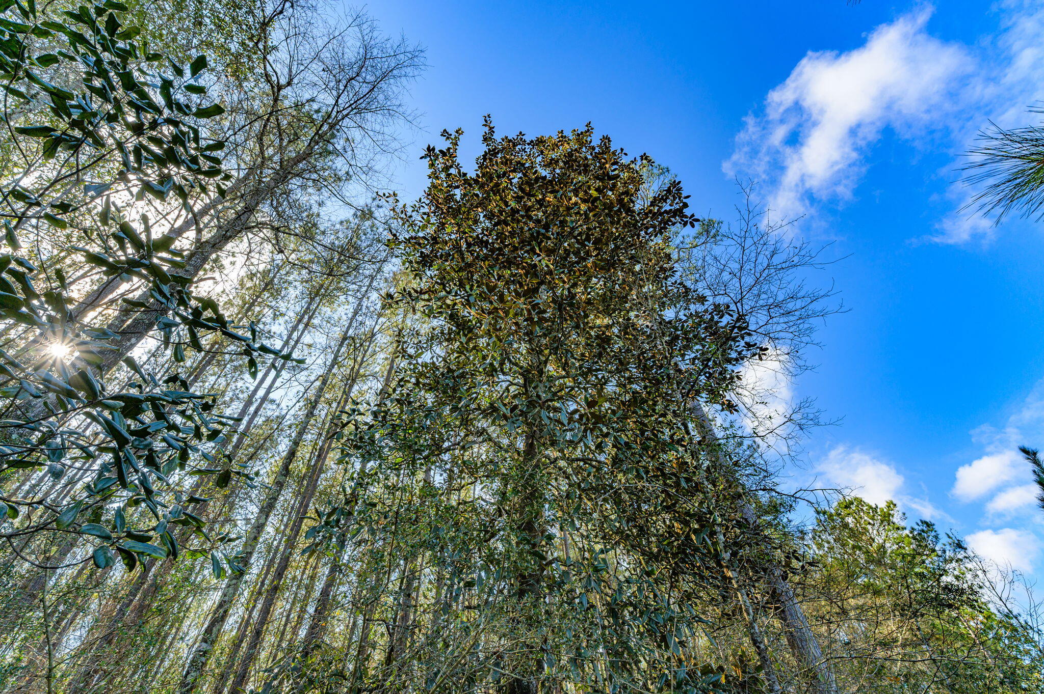 METES & BOUNDS - Farm