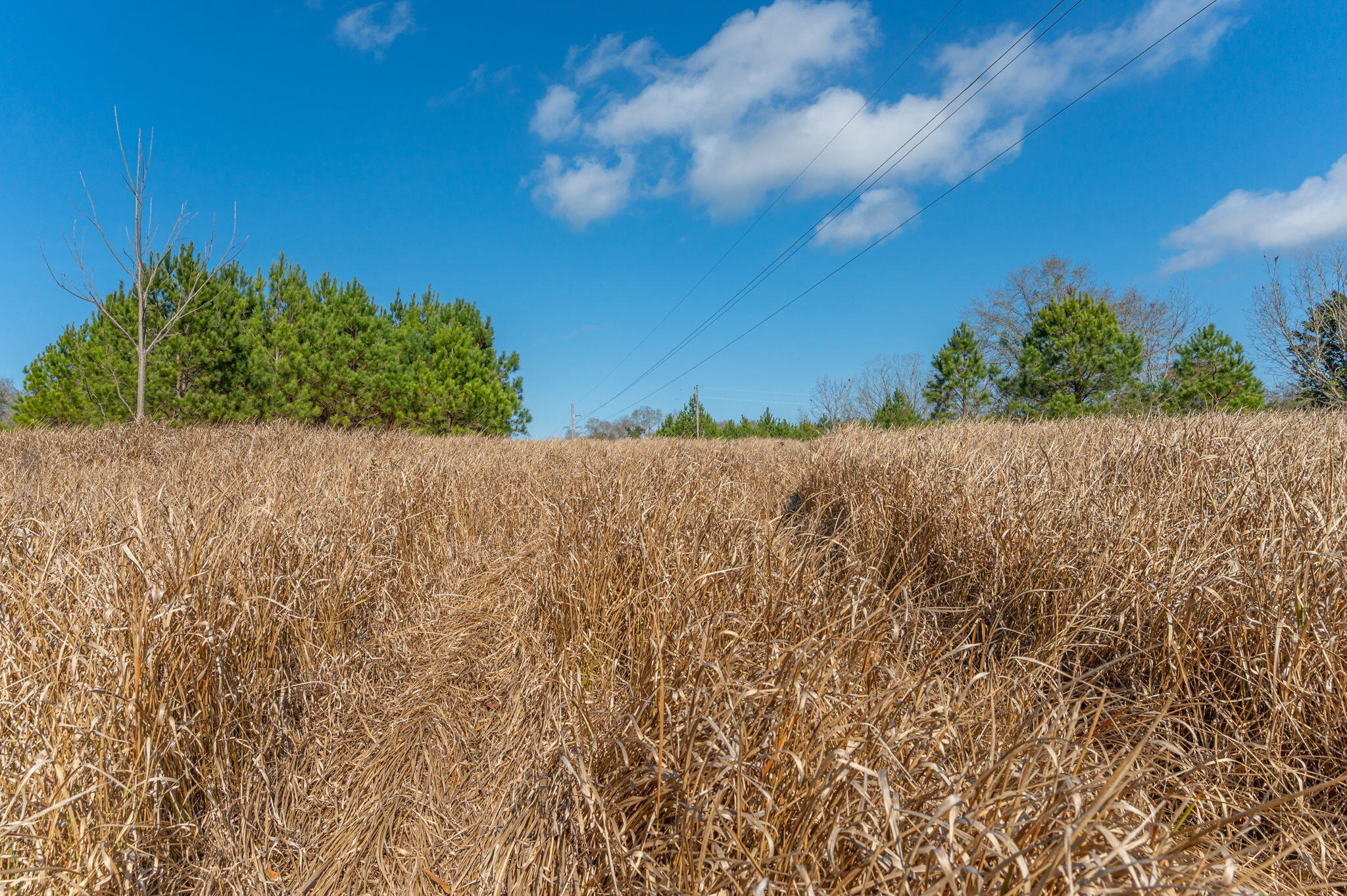 METES & BOUNDS - Farm