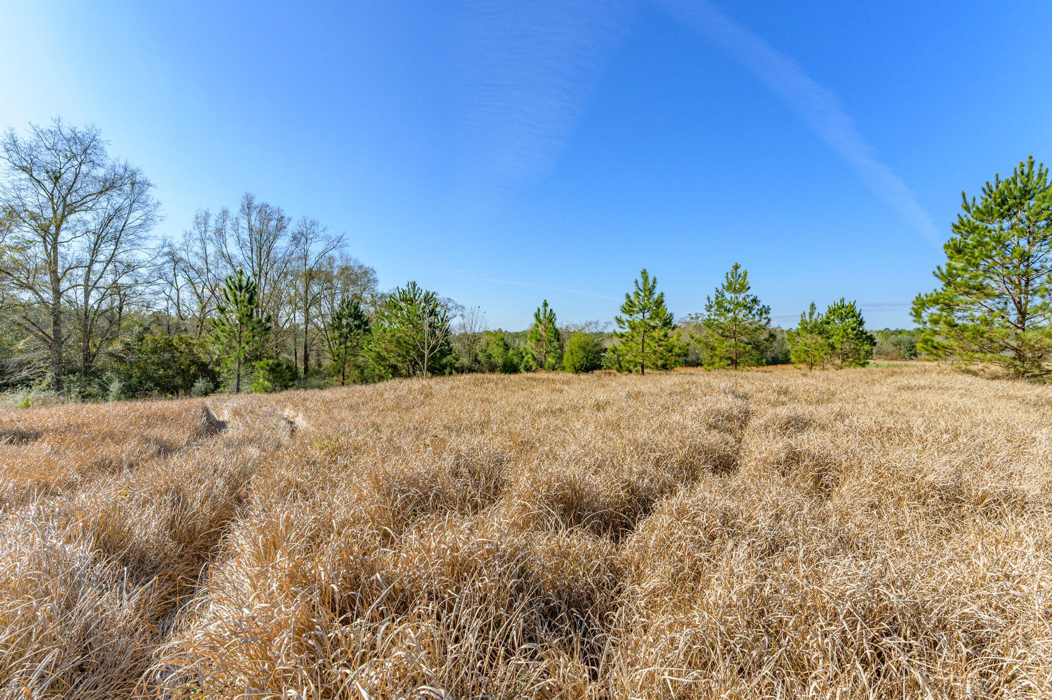 METES & BOUNDS - Farm