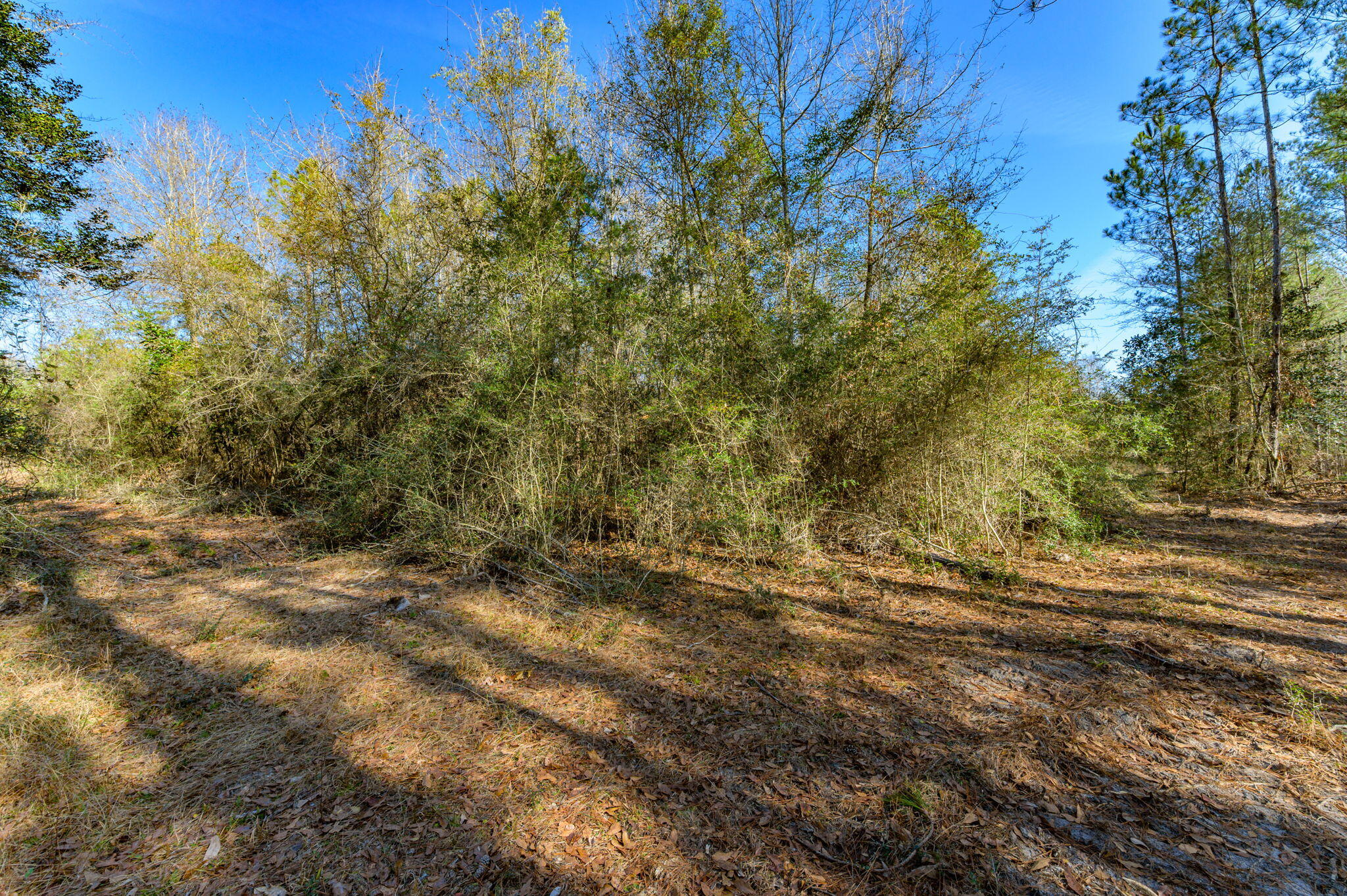 METES & BOUNDS - Farm