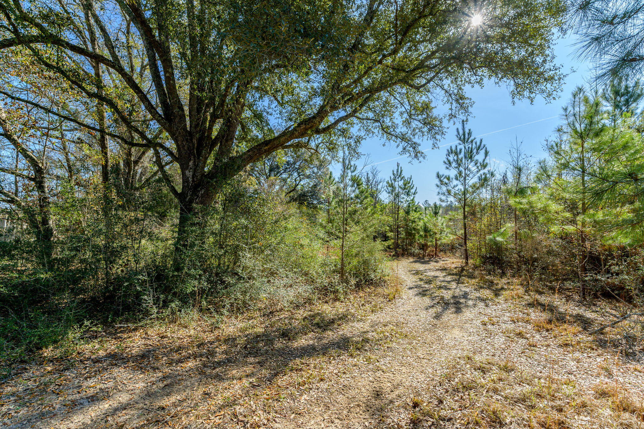 METES & BOUNDS - Farm