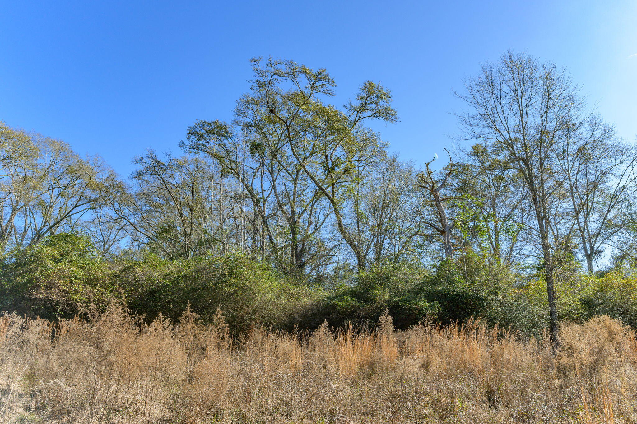 METES & BOUNDS - Farm