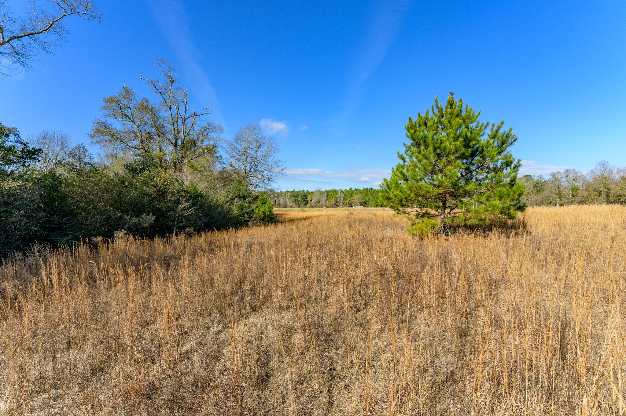 METES & BOUNDS - Farm