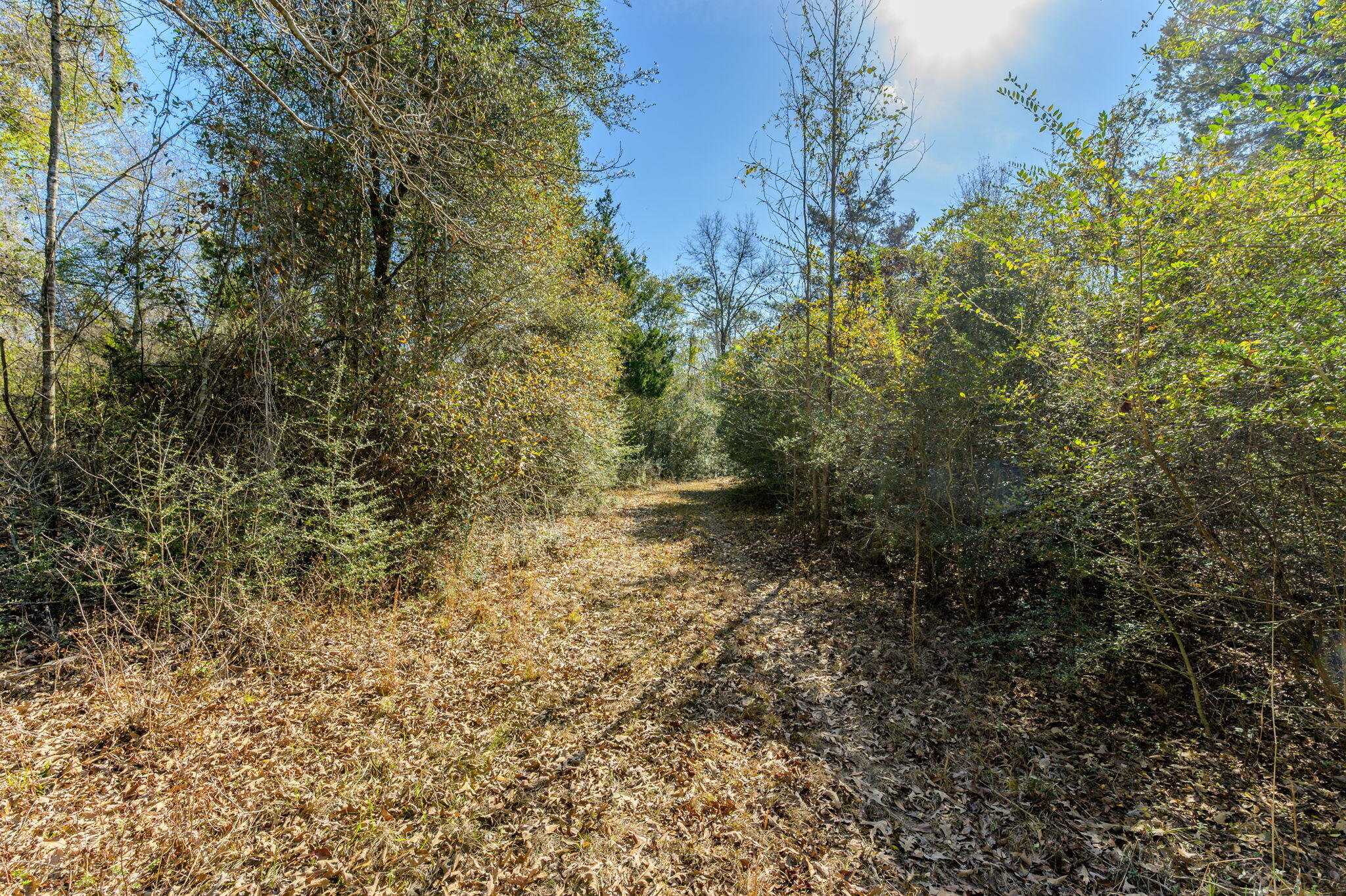 METES & BOUNDS - Farm