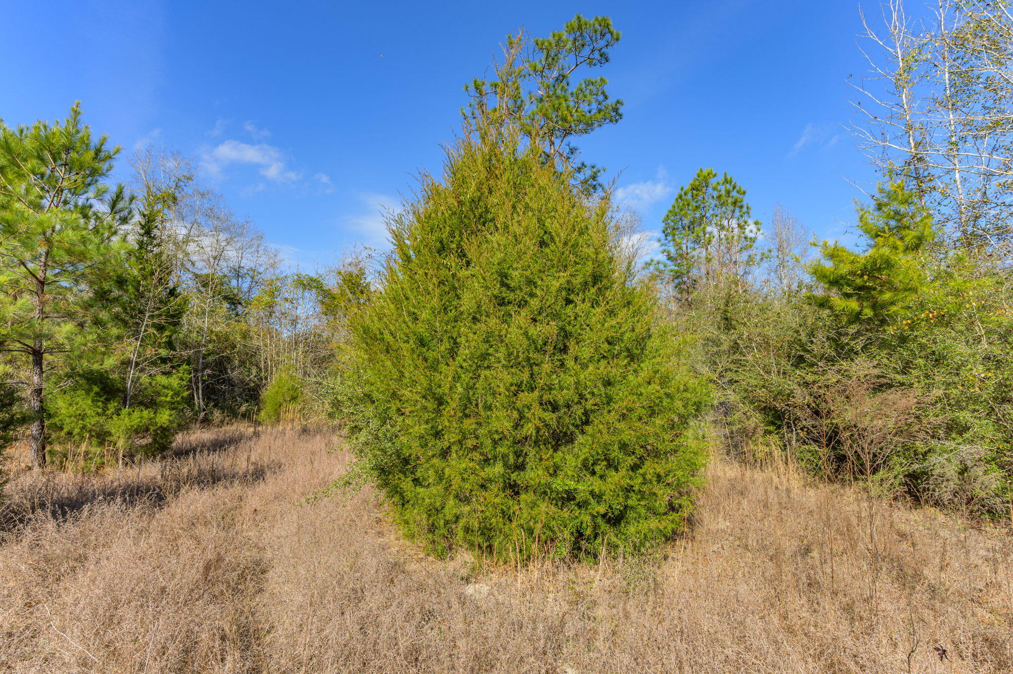 METES & BOUNDS - Farm