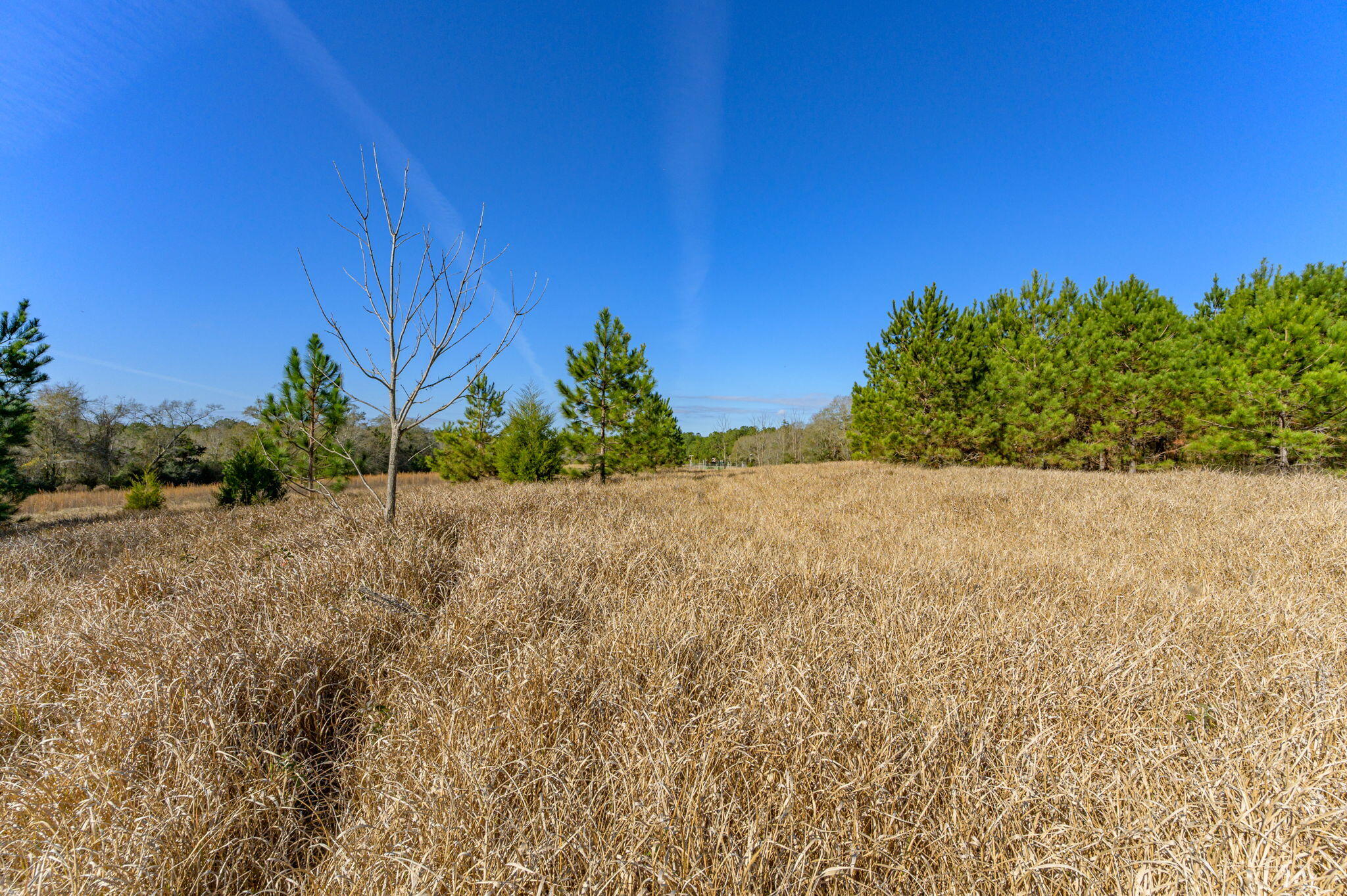 METES & BOUNDS - Farm