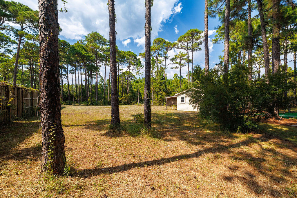 WOODLAND BAYOU ESTATES - Residential