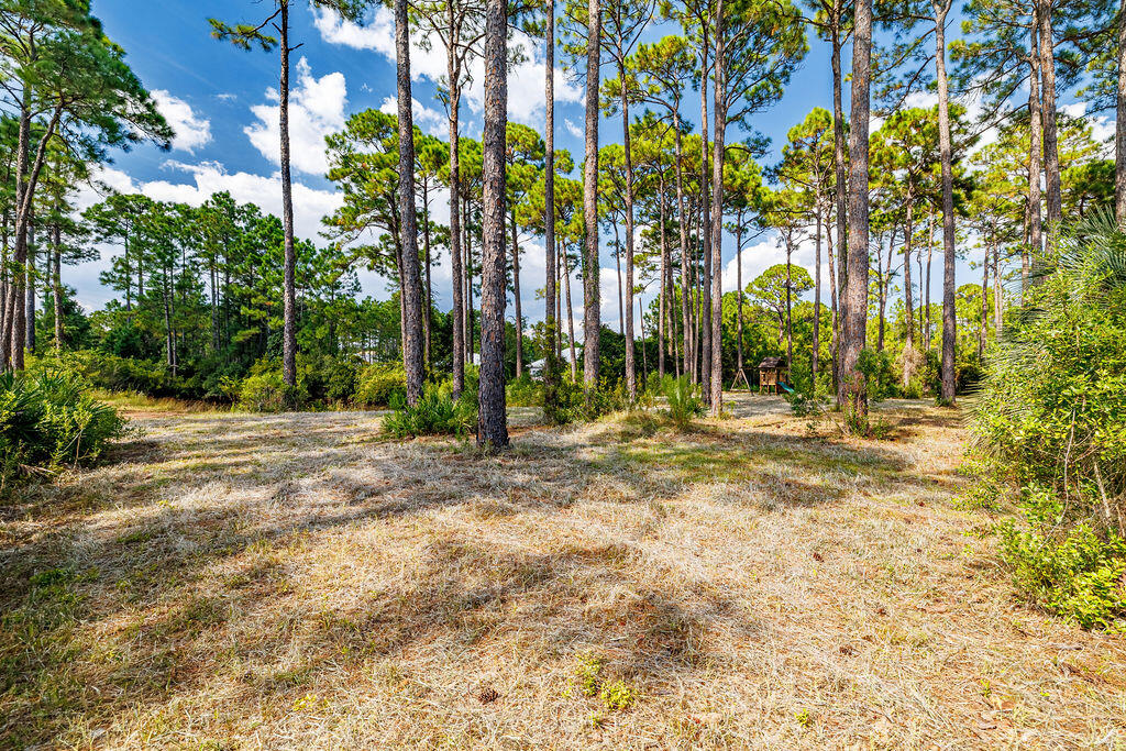 WOODLAND BAYOU ESTATES - Residential