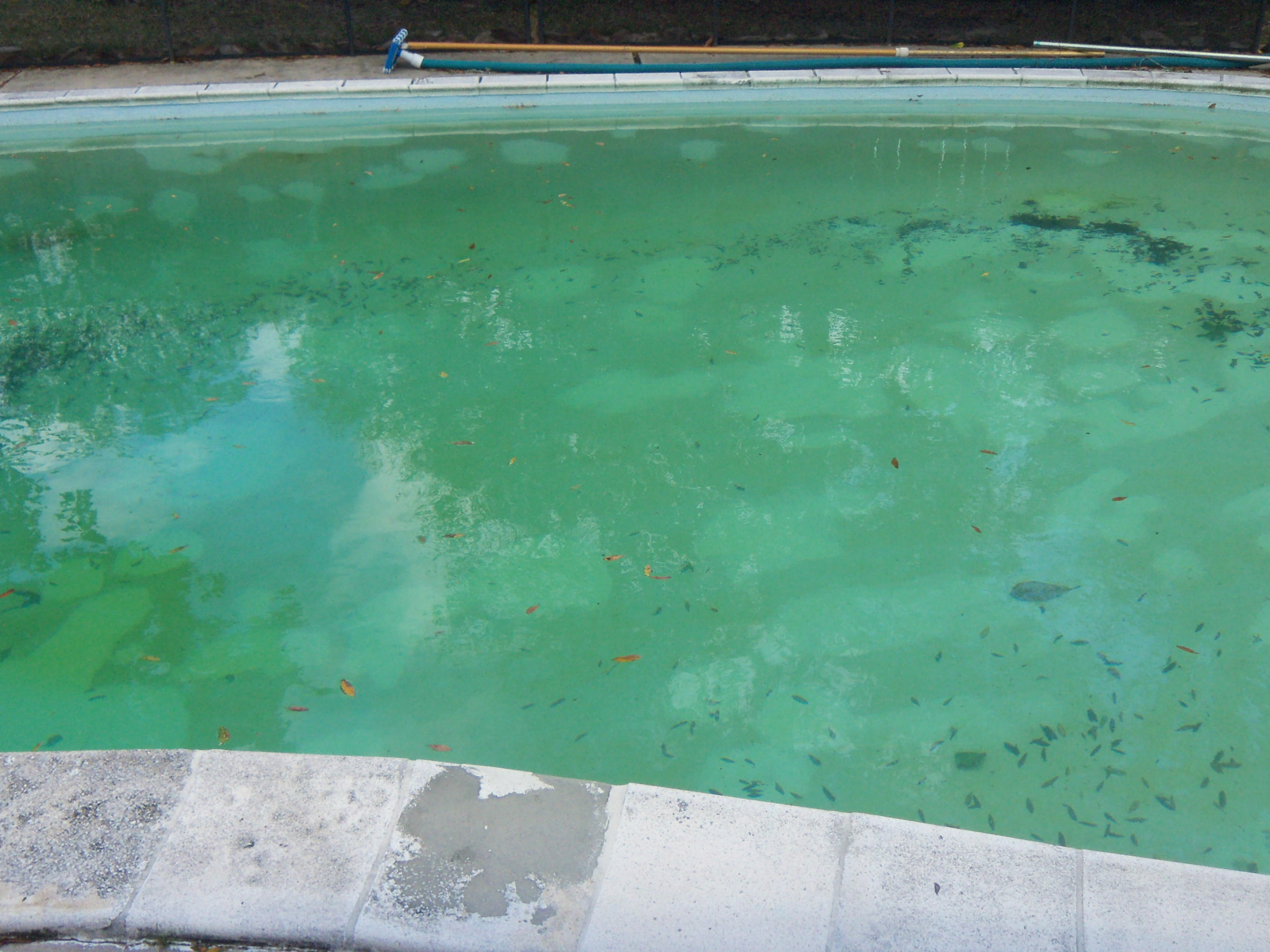 FOREST MANOR 1ST ADDN - Residential