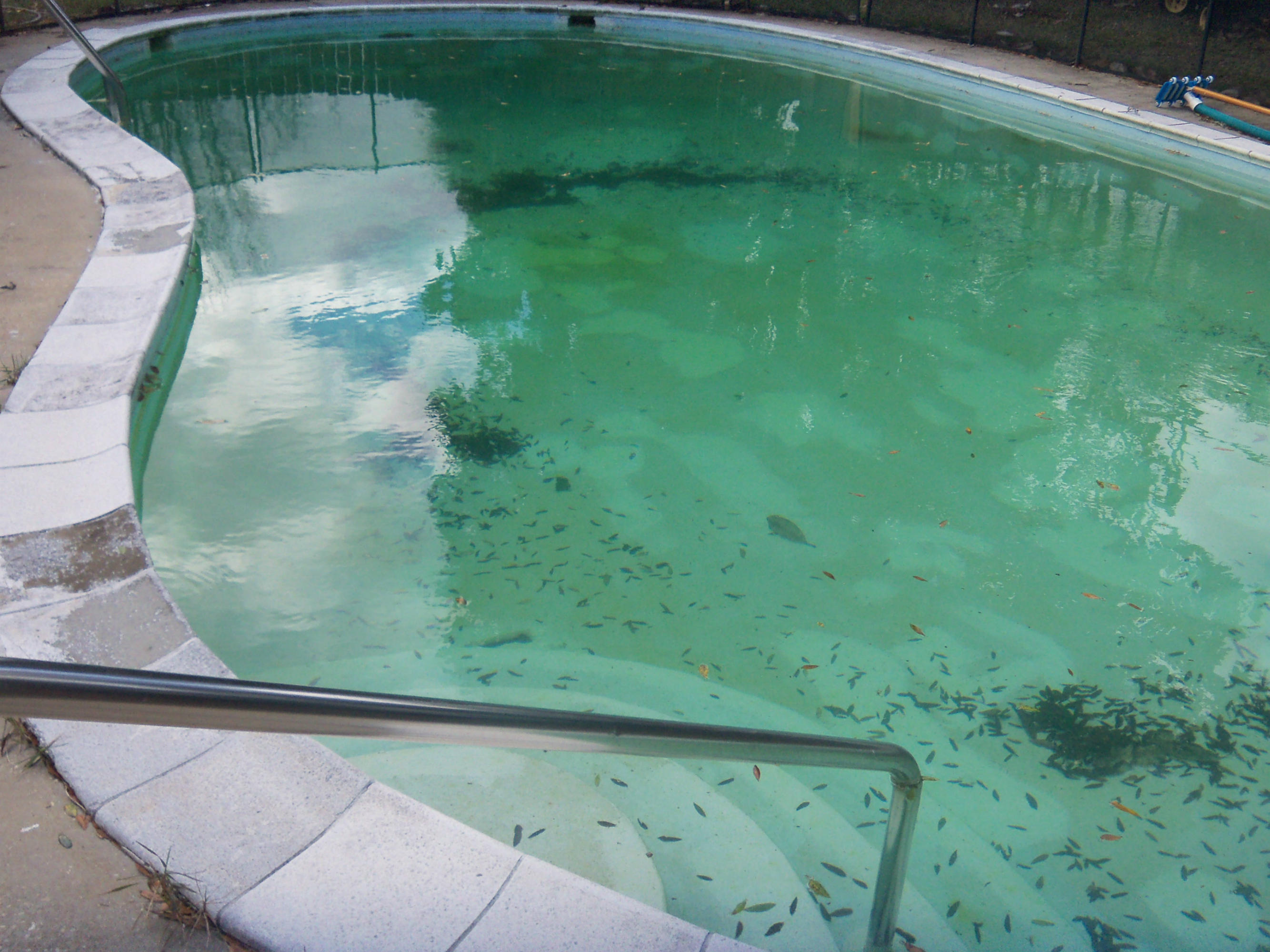 FOREST MANOR 1ST ADDN - Residential