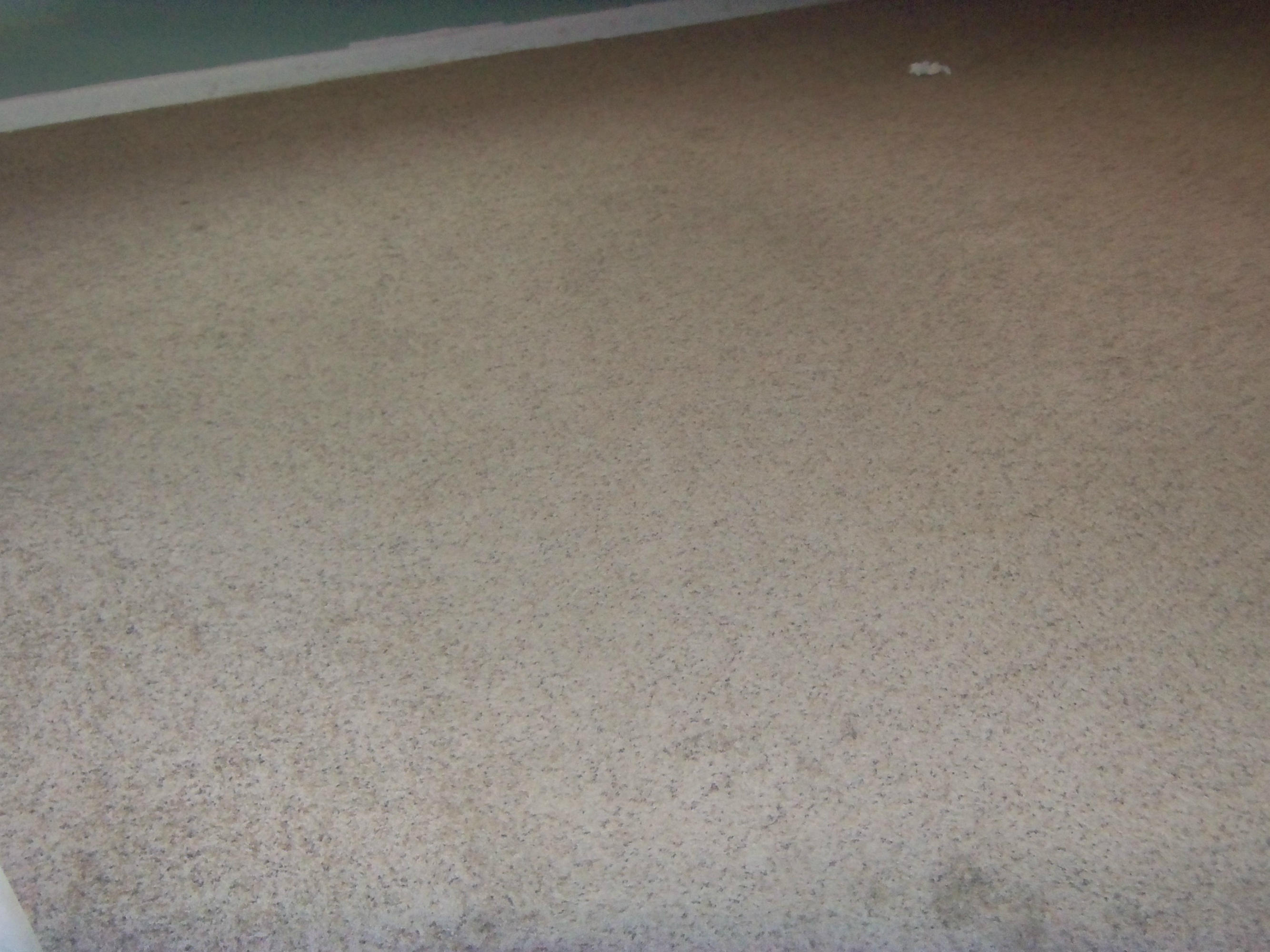 FOREST MANOR 1ST ADDN - Residential