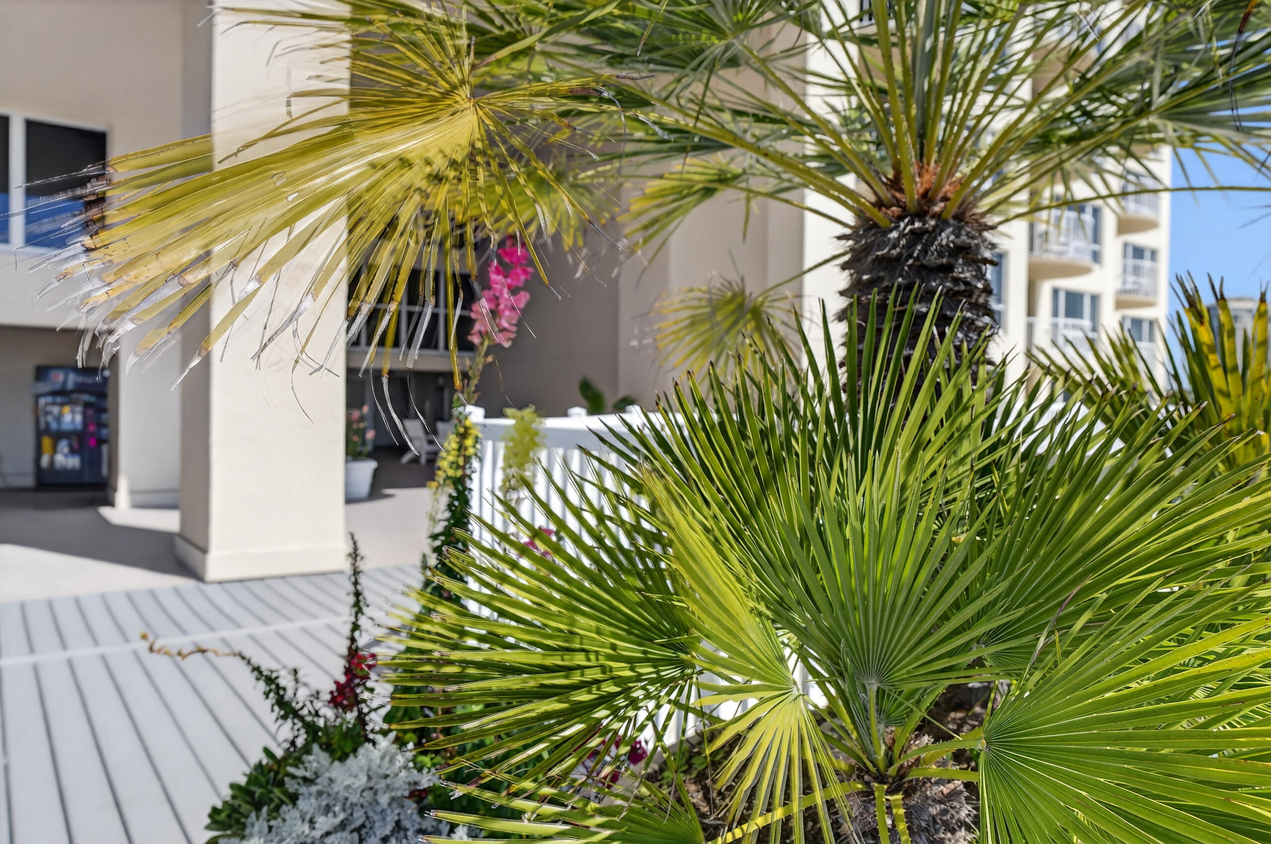 HIDDEN DUNES GULFSIDE 1 - Residential