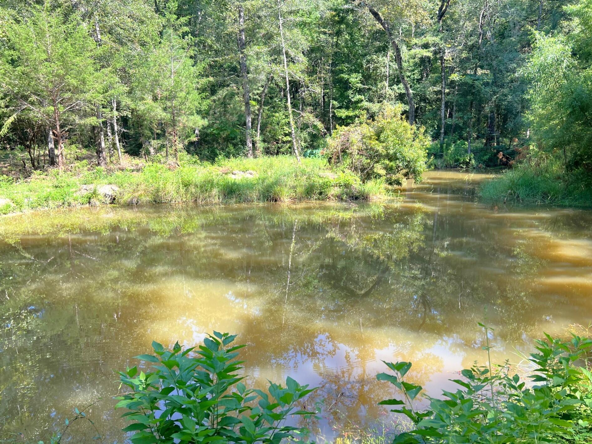32 acres of prime hunting or recreational land with small fishing pond and hunting cabin. Conveniently located within 15 minutes of I-10 in Ponce de Leon and within 45 minutes to Panama City Beach and the Beaches of S. Walton. There are several streams and spring heads throughout the property. Power has been run to the property but hasn't been used in a few years (would need meter installed). Well and septic would be required. The driveway into the property is a bit rough, so 4-wheel drive or ATV may be best for previewing property. Schedule your showing today