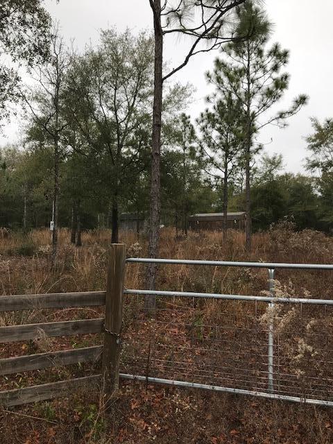 The lot has been mostly cleared and there are 2 buildings on the property. One small shed for storage and a large building that could be converted to livable space with modifications.