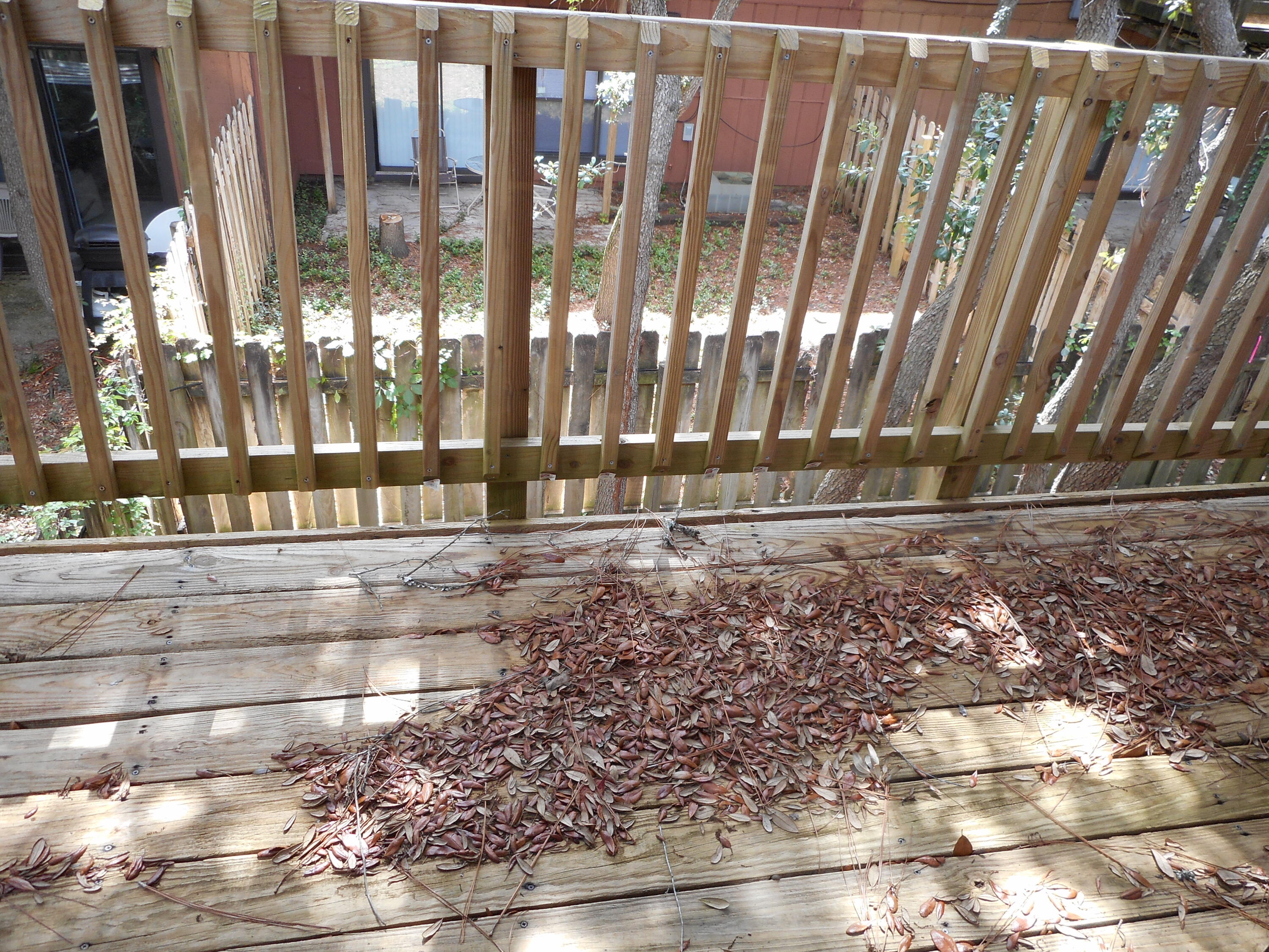 WHISPERING OAKS - Residential Lease