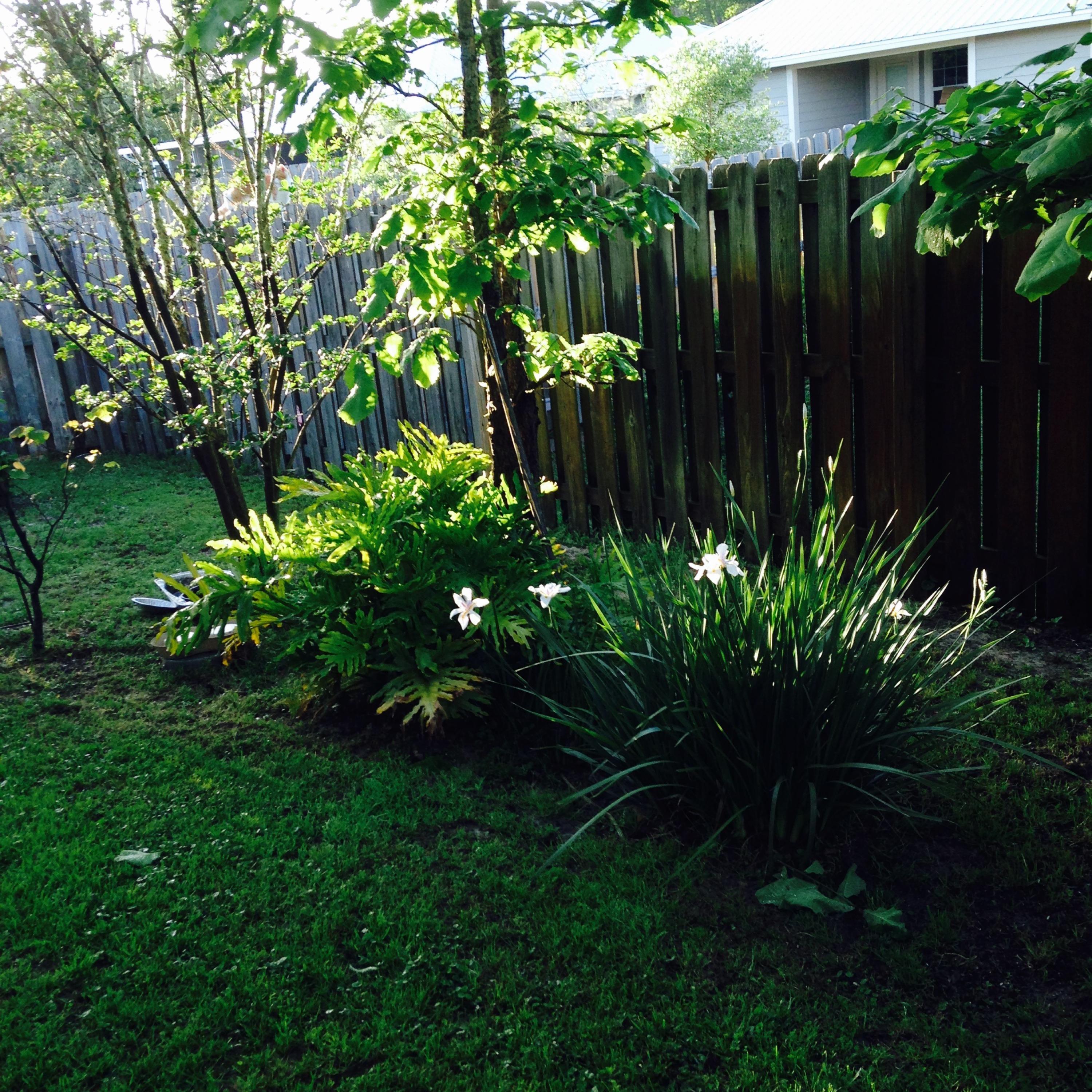 EAGLE BAY - Residential