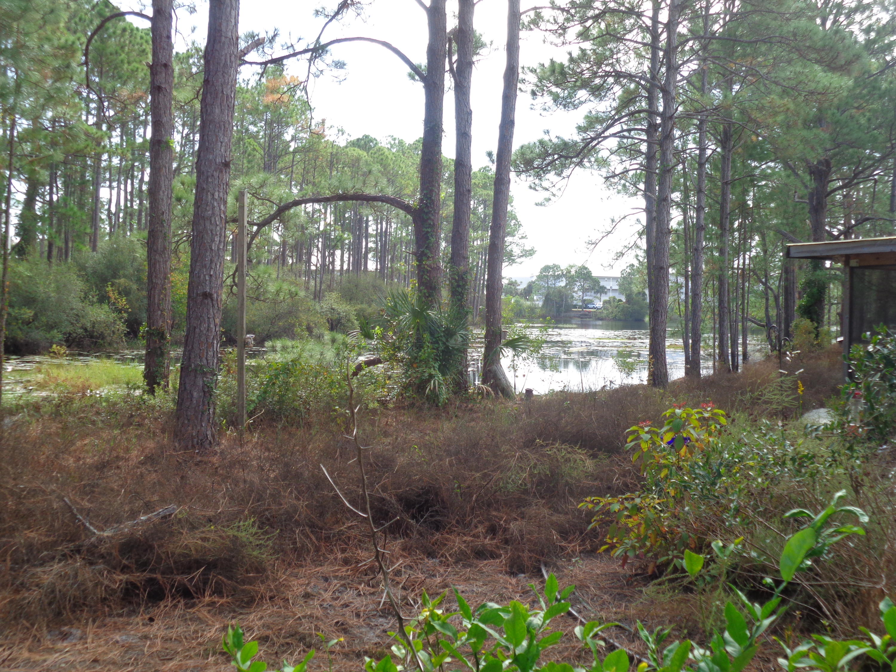 HOME TO BE REMOVED PRIOR TO CLOSING. Rare find, south of 30-A with 76' overlooking Tresca Lake, with nearby beach access. No HOA, no build out times. Eastern Lake boat/kayak launch across street, easy access to 30-A's bike path, close to great restaurants and shopping. Parcel ID reflects 3 lots, all being sold separately. This Lot 4 includes water & sewer taps.***Buyer is responsible for personally verifying details about this property. Any information contained in this listing is believed to be accurate but is not guaranteed.***