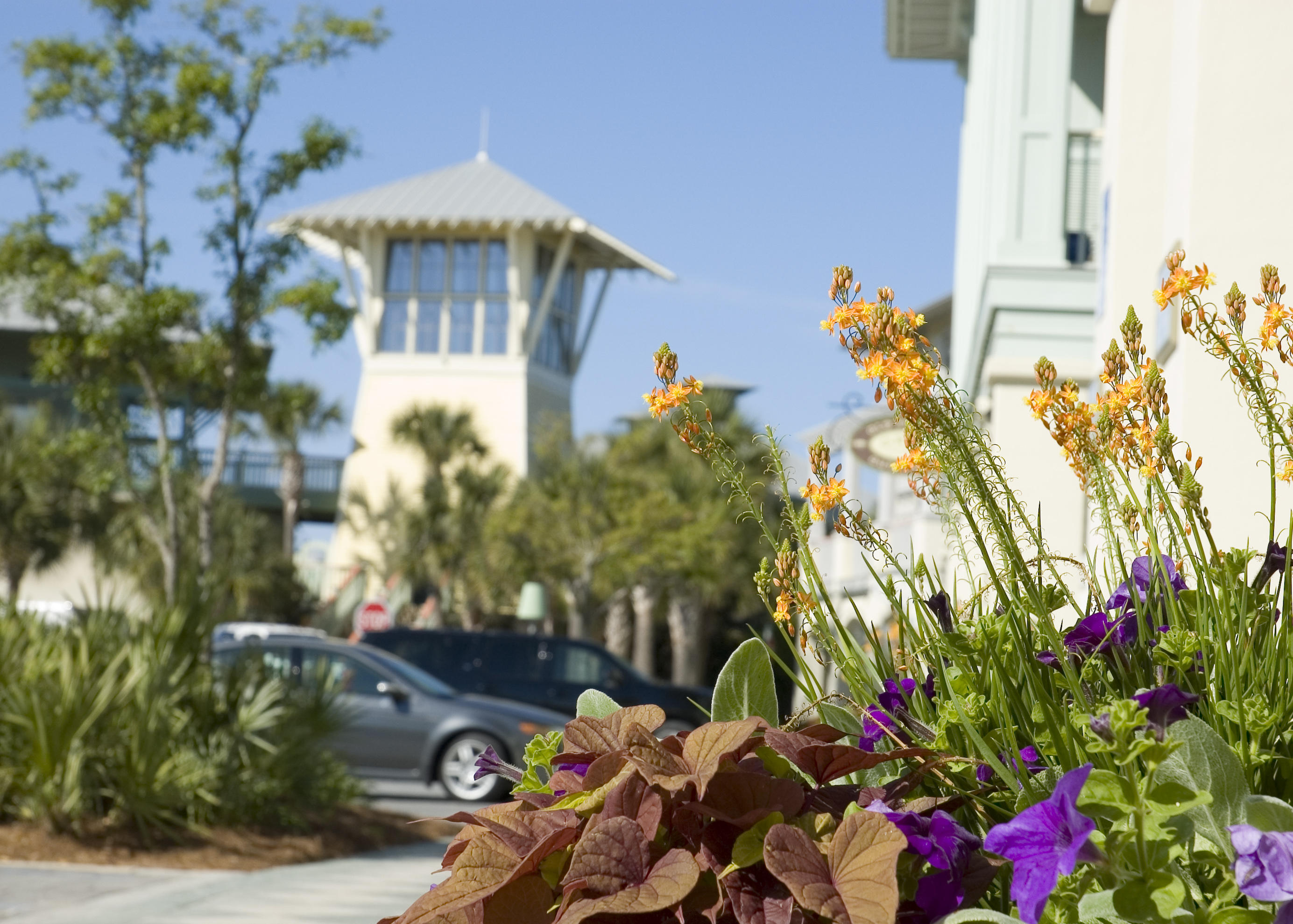 WATERCOLOR - Residential