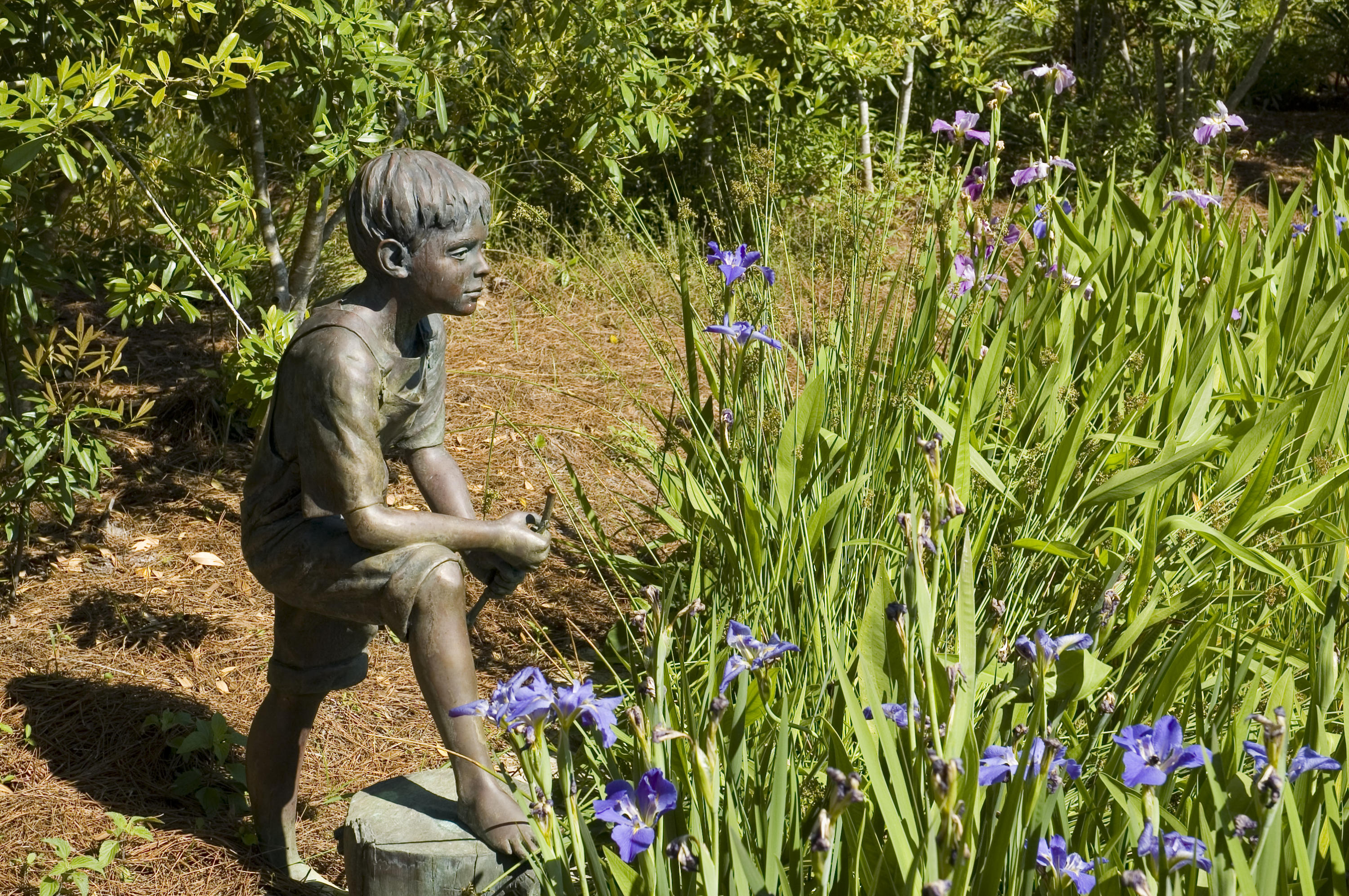 WATERCOLOR - Residential