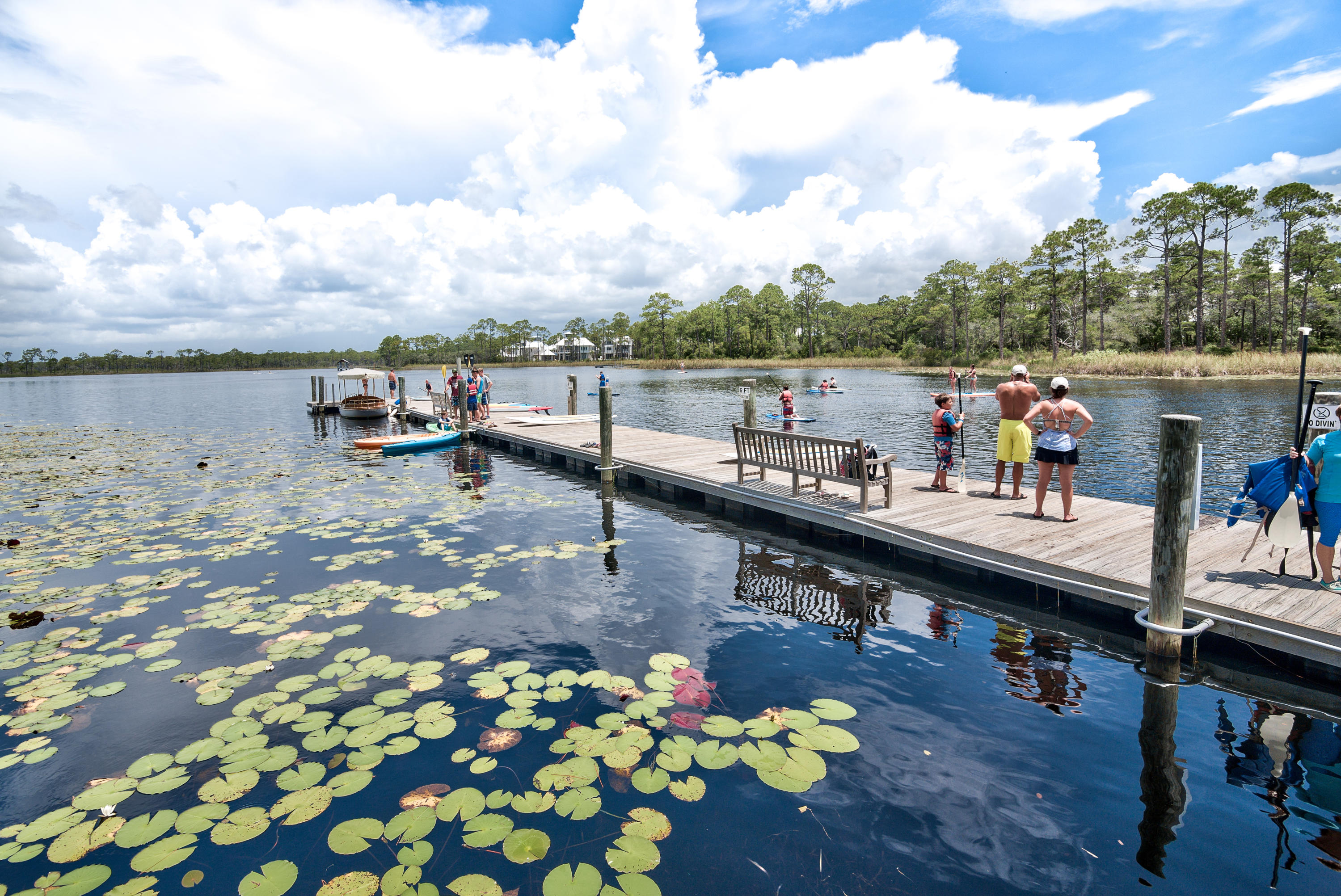 WATERCOLOR - Residential